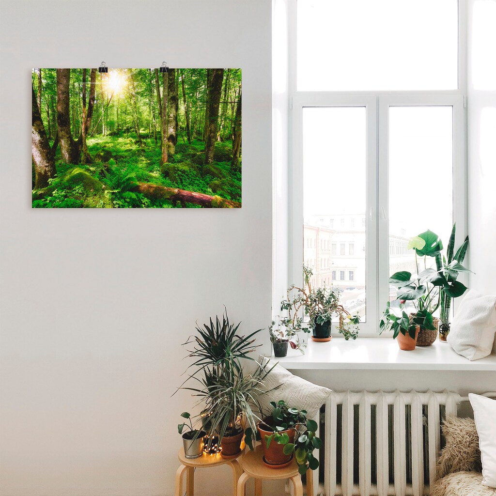 Artland Wandbild »Wald«, Wald, (1 St.)