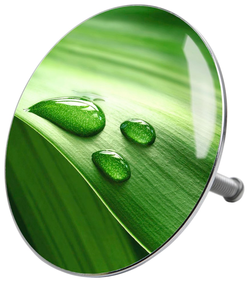 Sanilo Badaccessoire-Set »Green Leaf«, (Komplett-Set, OTTO 6 bei Badteppich, bestehend WC-Sitz, aus tlg.), WC-Bürste kaufen Stöpsel, Seifenspender