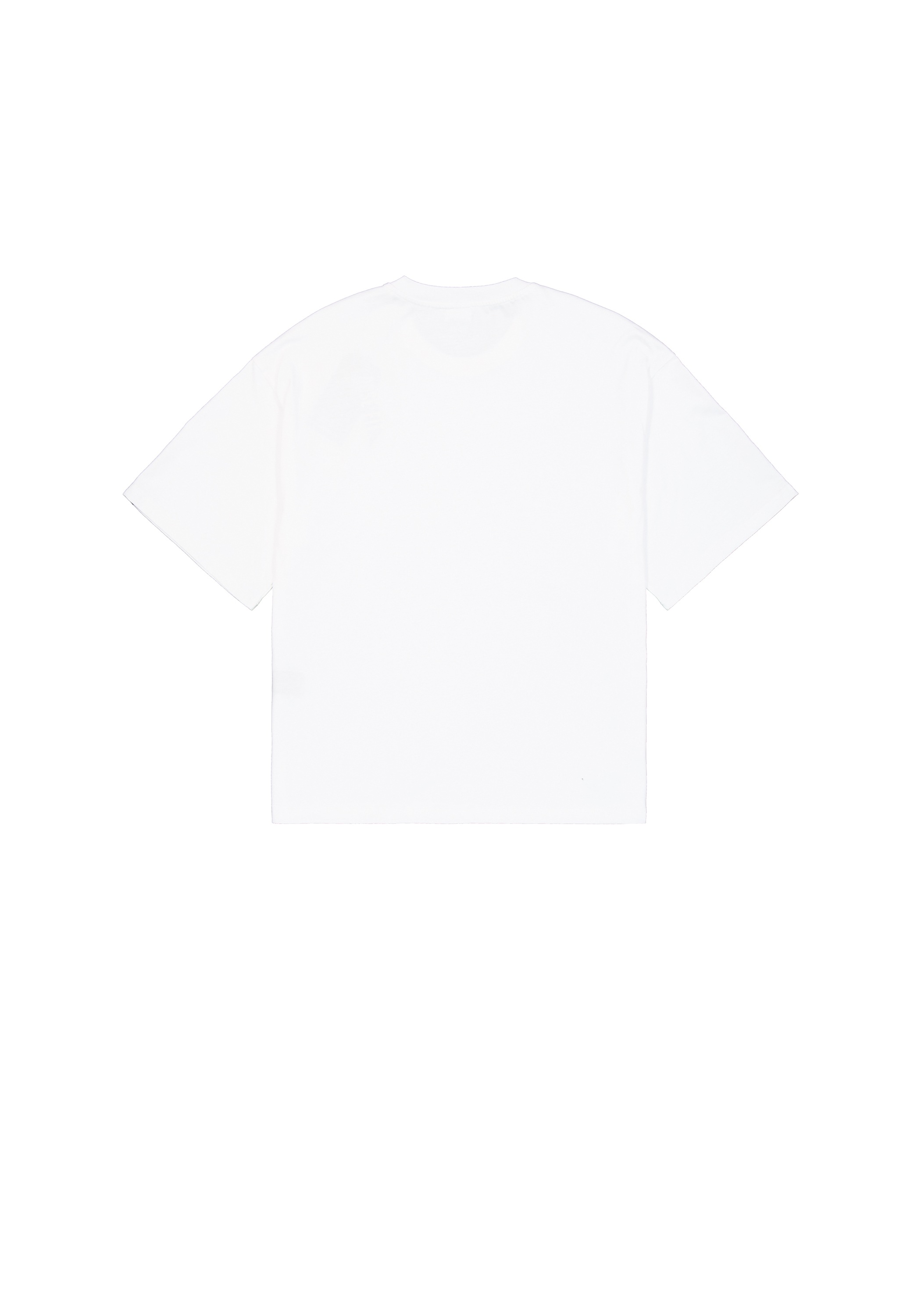 Alpha Industries T-Shirt »Alpha Industries Men - T-Shirts Studio Edition T-Shirt«