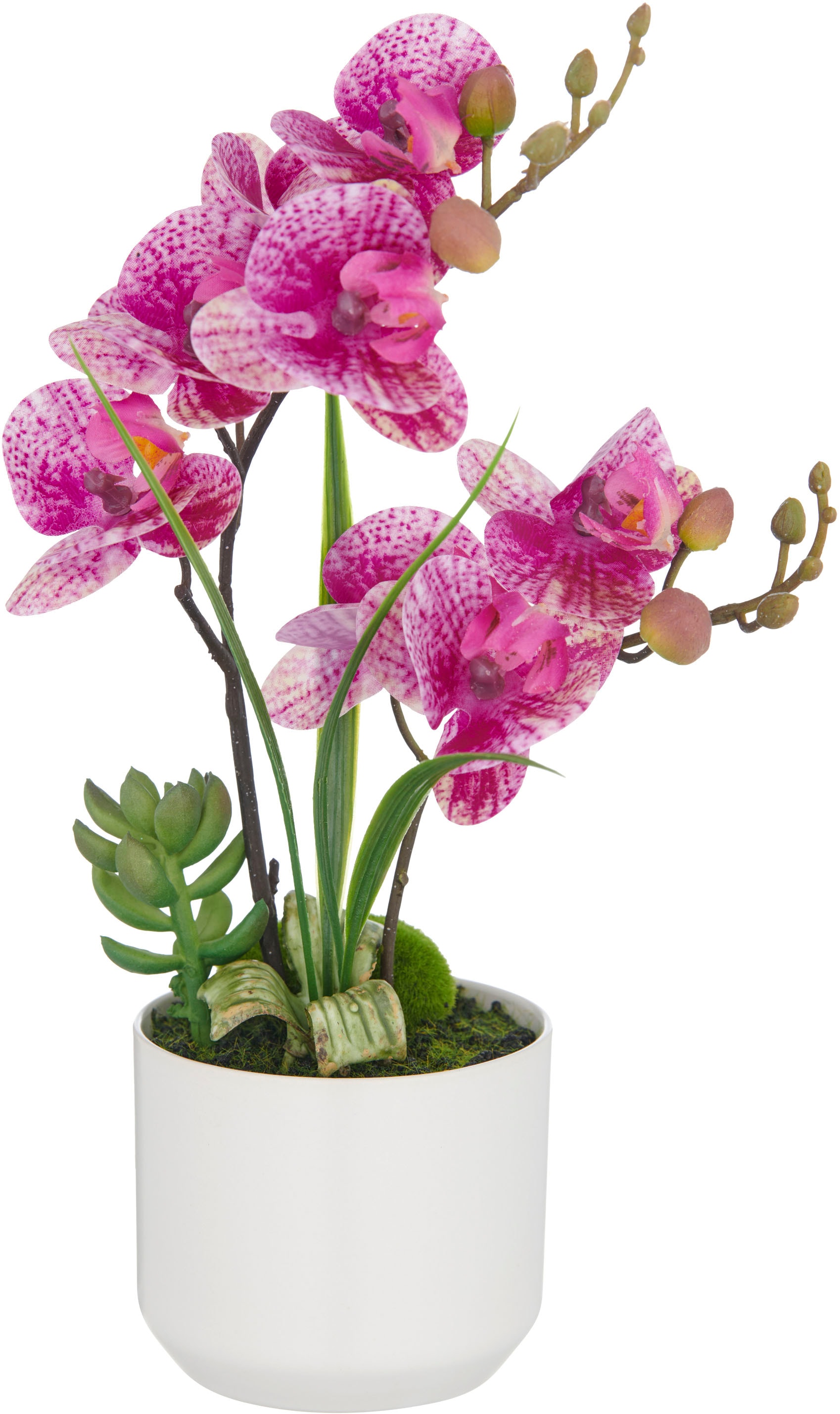 Creativ green Kunstorchidee »Orchidee Phalaenopsis«, mit real-touch-Blüten