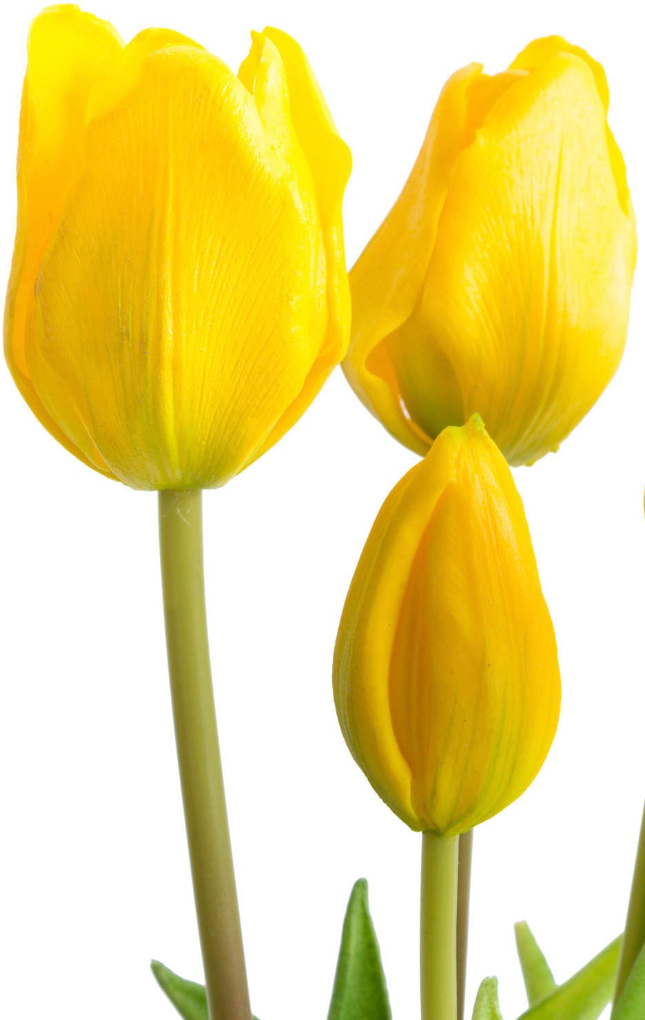 OTTO home Kunstpflanze »Maiva« Tulpenbündel im 7er-Set
