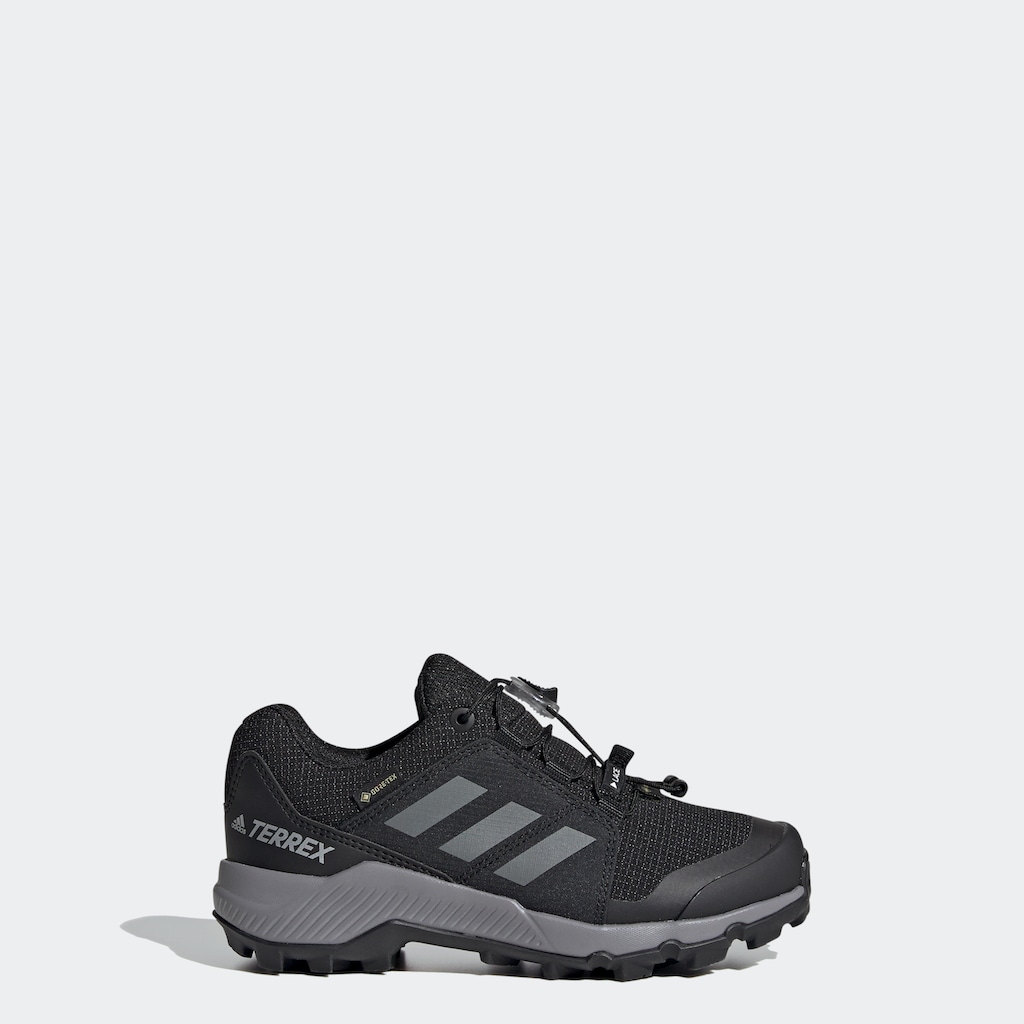 adidas TERREX Wanderschuh »GORE-TEX«