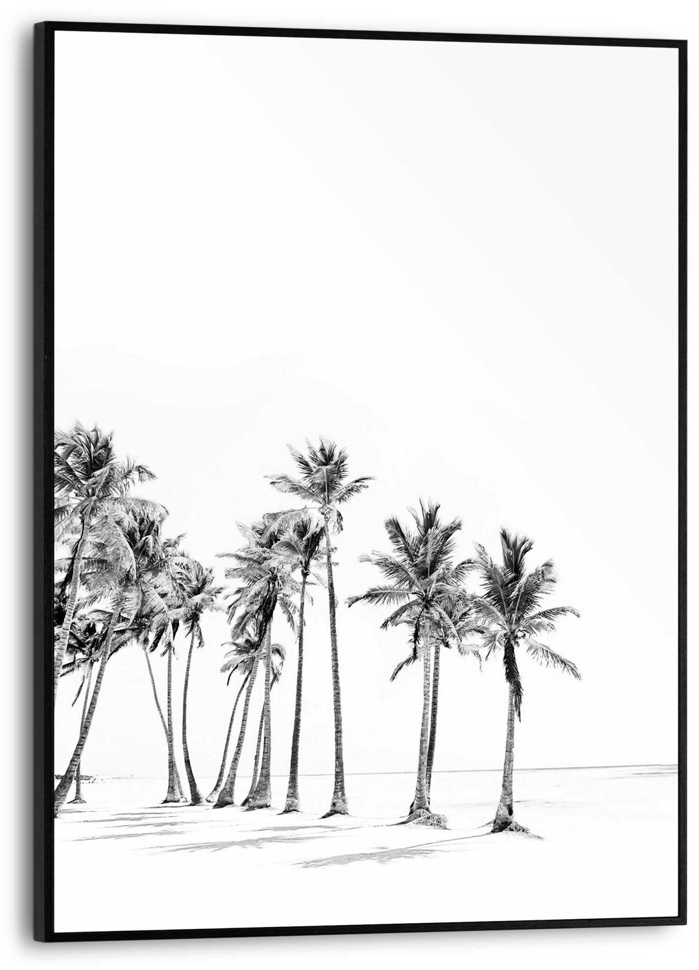 bei Reinders! Poster OTTO kaufen »Palmenbaum«