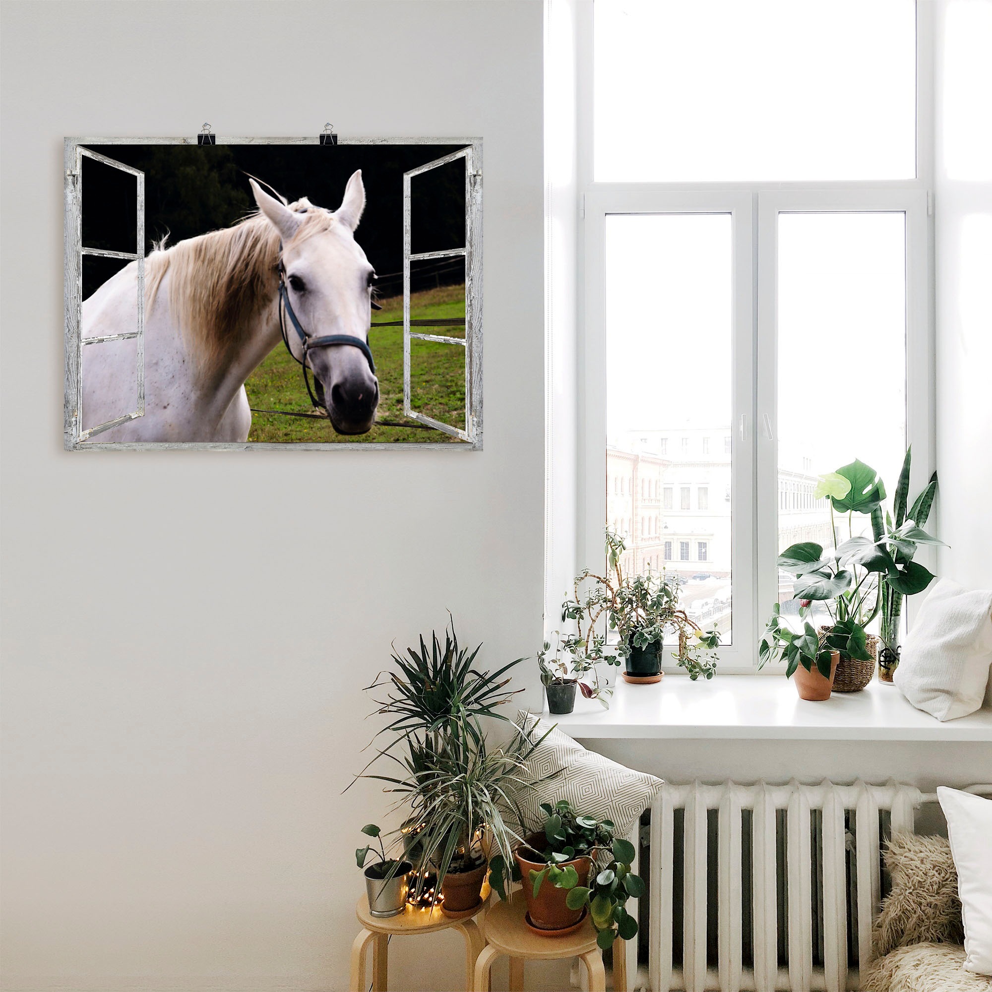 Artland Wandbild »Fensterblick - weisses Pferd«, Haustiere, (1 St.), in vielen Größen & Produktarten - Alubild / Outdoorbild für den Außenbereich, Leinwandbild, Poster, Wandaufkleber / Wandtattoo auch für Badezimmer geeignet