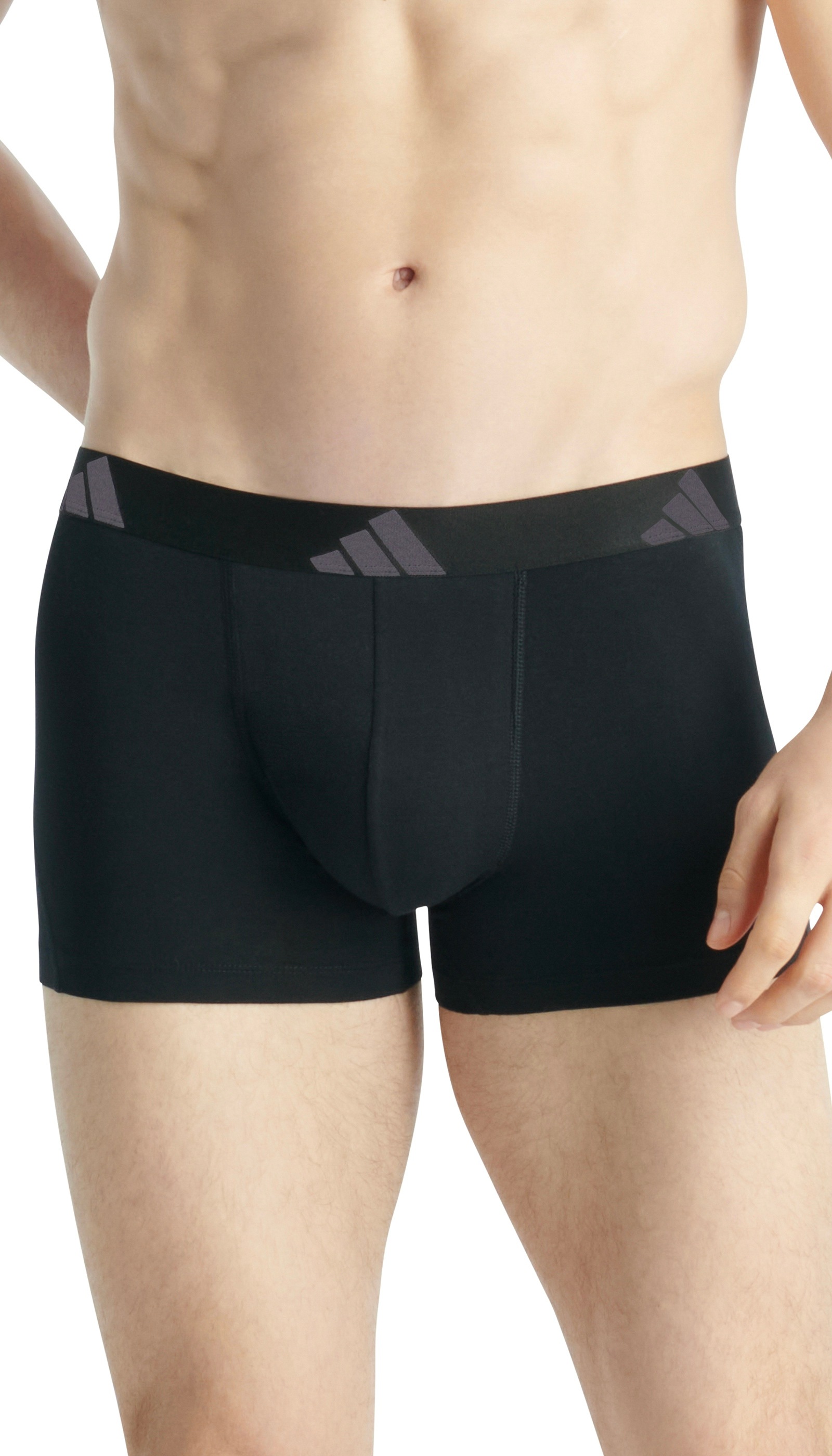 adidas Sportswear Trunk »Active Flex Cotton« 5er Pack,  Multipack, elastisch, Logo-Bund, ohne Eingriff