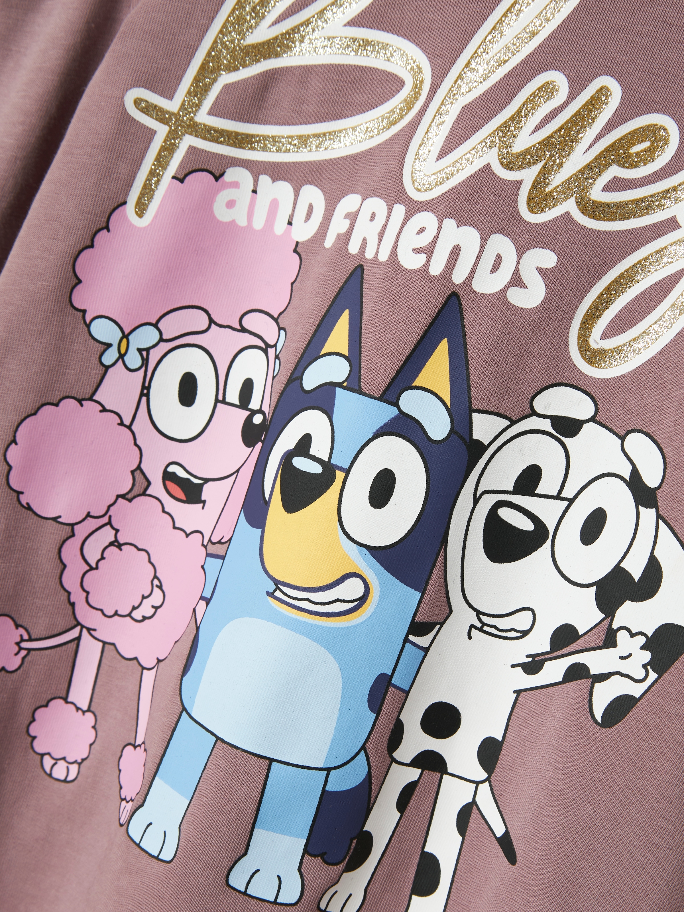 Name It Langarmshirt »NMFARIA BLUEY LS TOP NOOS SKY«, mit großem Frontmotiv