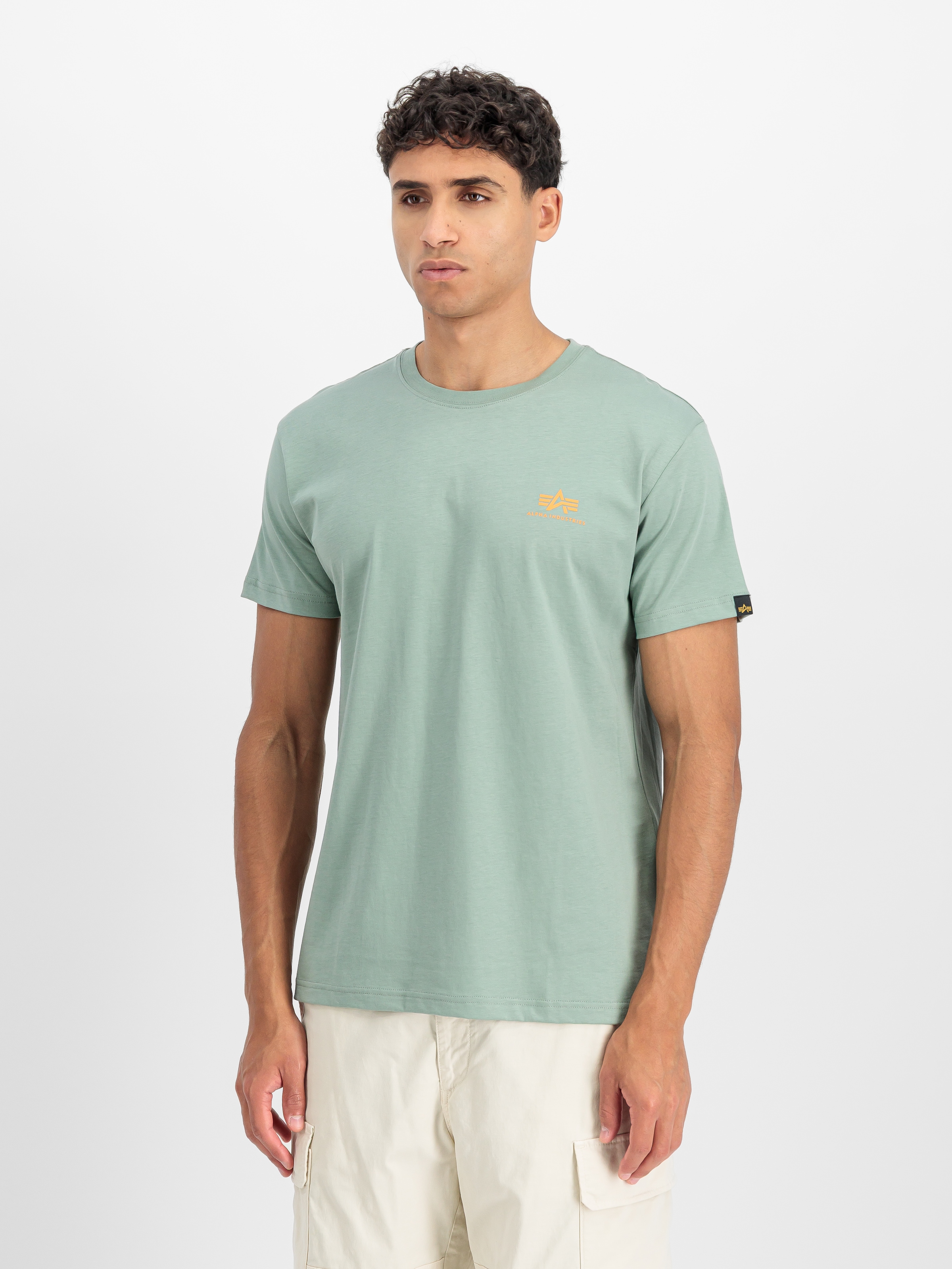 Alpha Industries Rundhalsshirt »BASIC T SMALL LOGO« Baumwolle, regular fit
