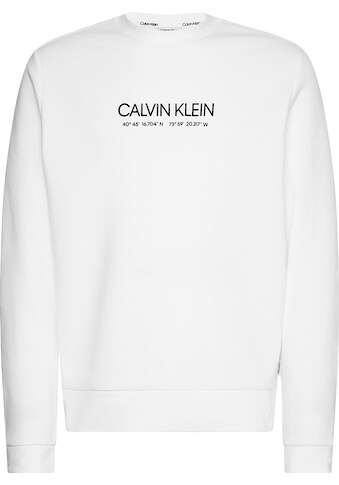 Calvin Klein Sweatshirt »LOGO COORDINATES« kaufen