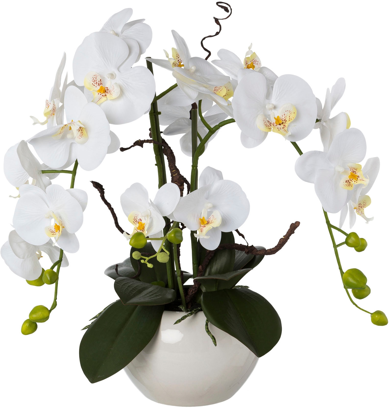 I.GE.A. Kunstblume (1 »Orchidee«, in bei OTTO St.), aus Antik-Schale Keramik
