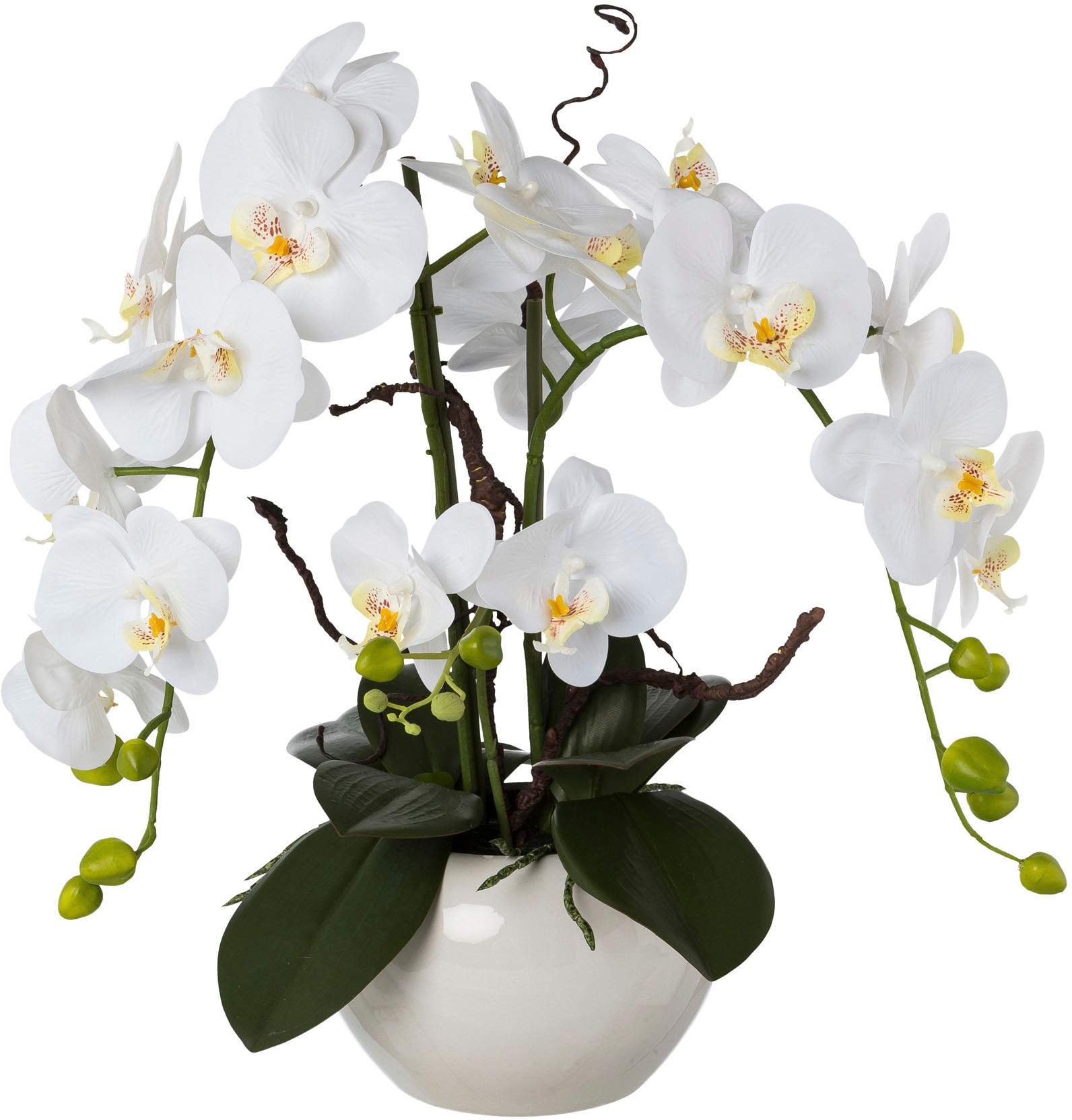 I.GE.A. Kunstblume »Orchidee«, (1 St.), in Antik-Schale aus Keramik bei OTTO