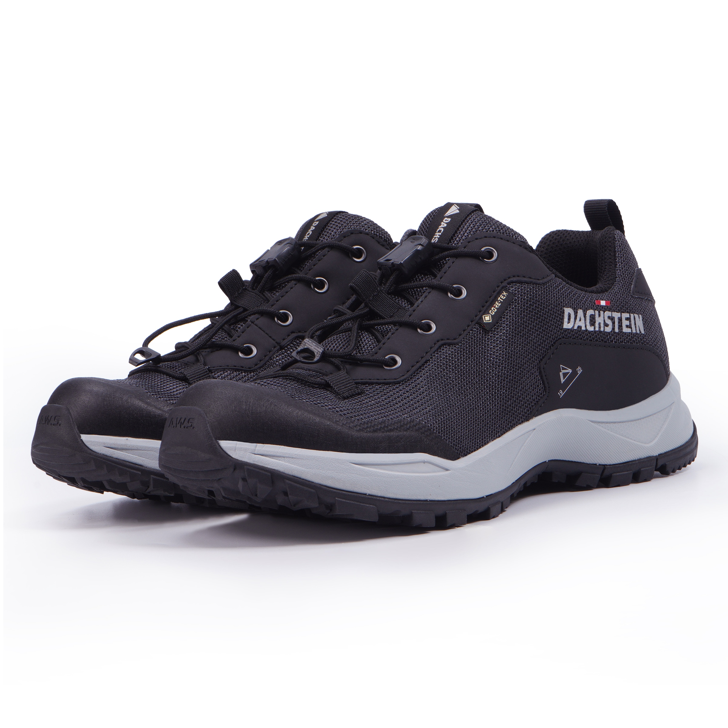 Dachstein Wanderschuh »DELTA ASCENT GORE-TEX WMN«, wasserdicht