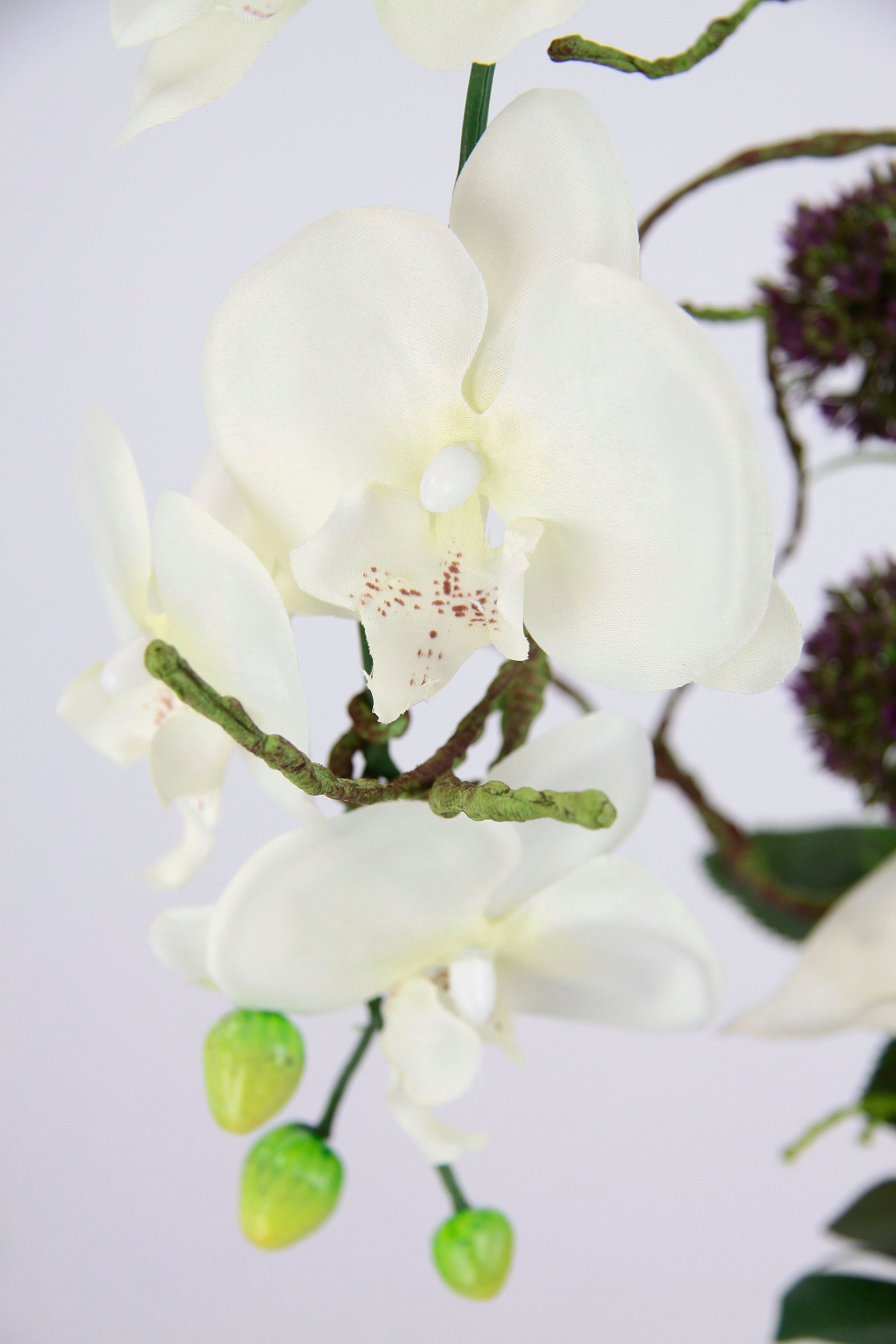 bei »Orchidee« online I.GE.A. Kunstpflanze OTTO