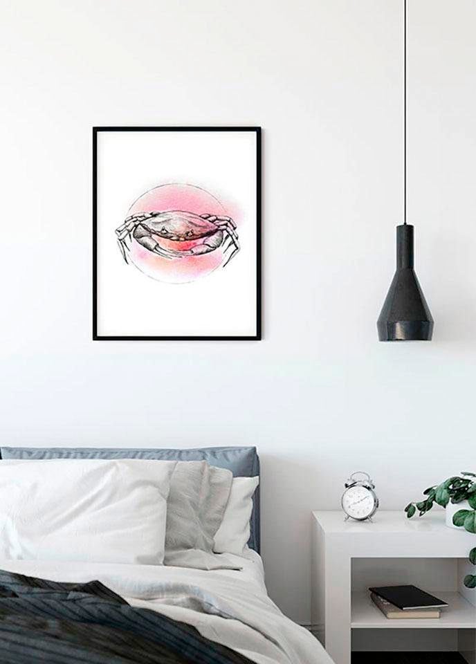 Komar Bild »Crab Watercolor«, Tiere, (1 St.), Wandbild zur Dekoration - ohne Rahmen