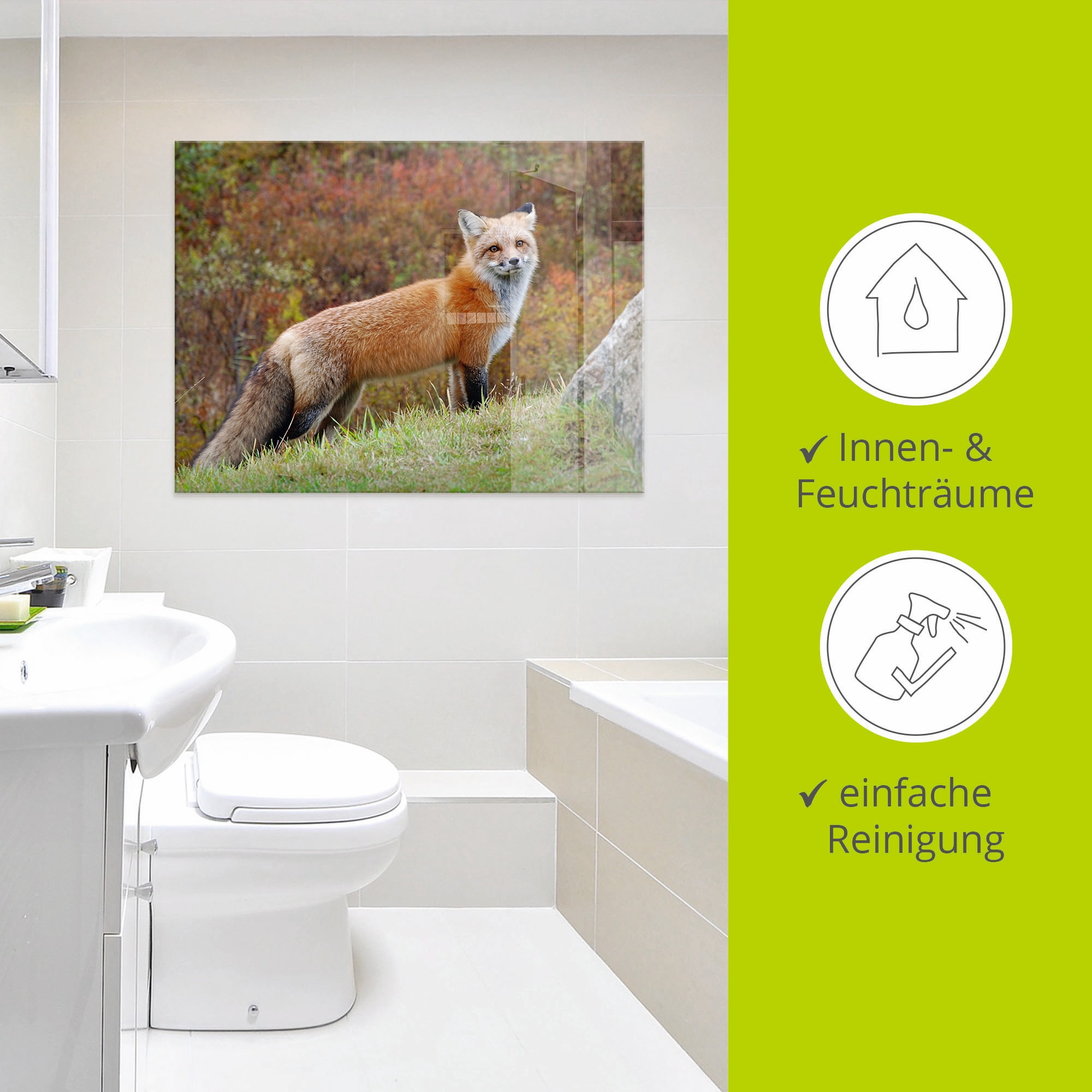 Artland Glasbild »Fuchs I«, Wildtiere, (1 St.), in verschiedenen Größen