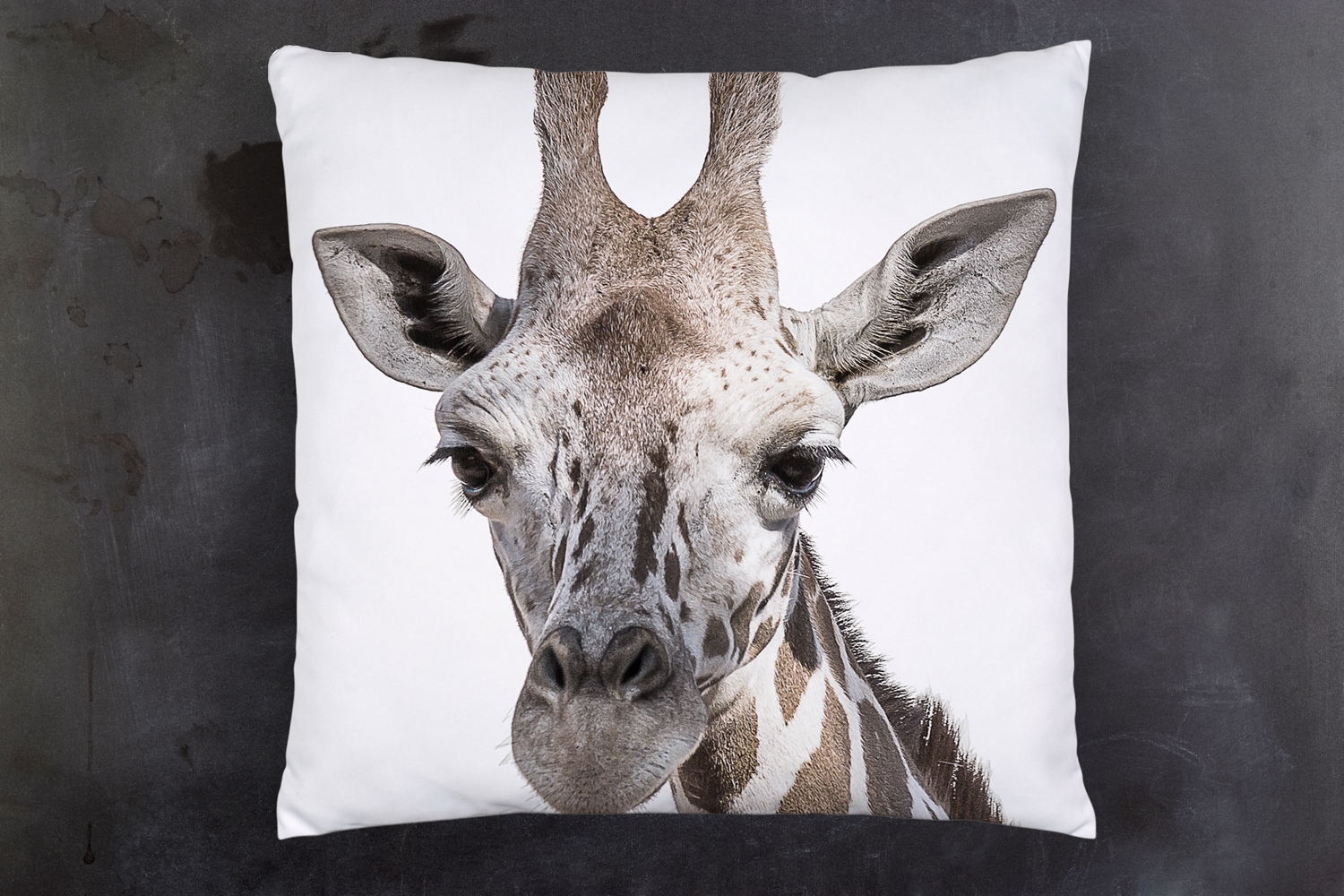 queence Dekokissen »Giraffe«, Kissenhülle mit HD Premium Druck, geruchsneutral, 40x40cm
