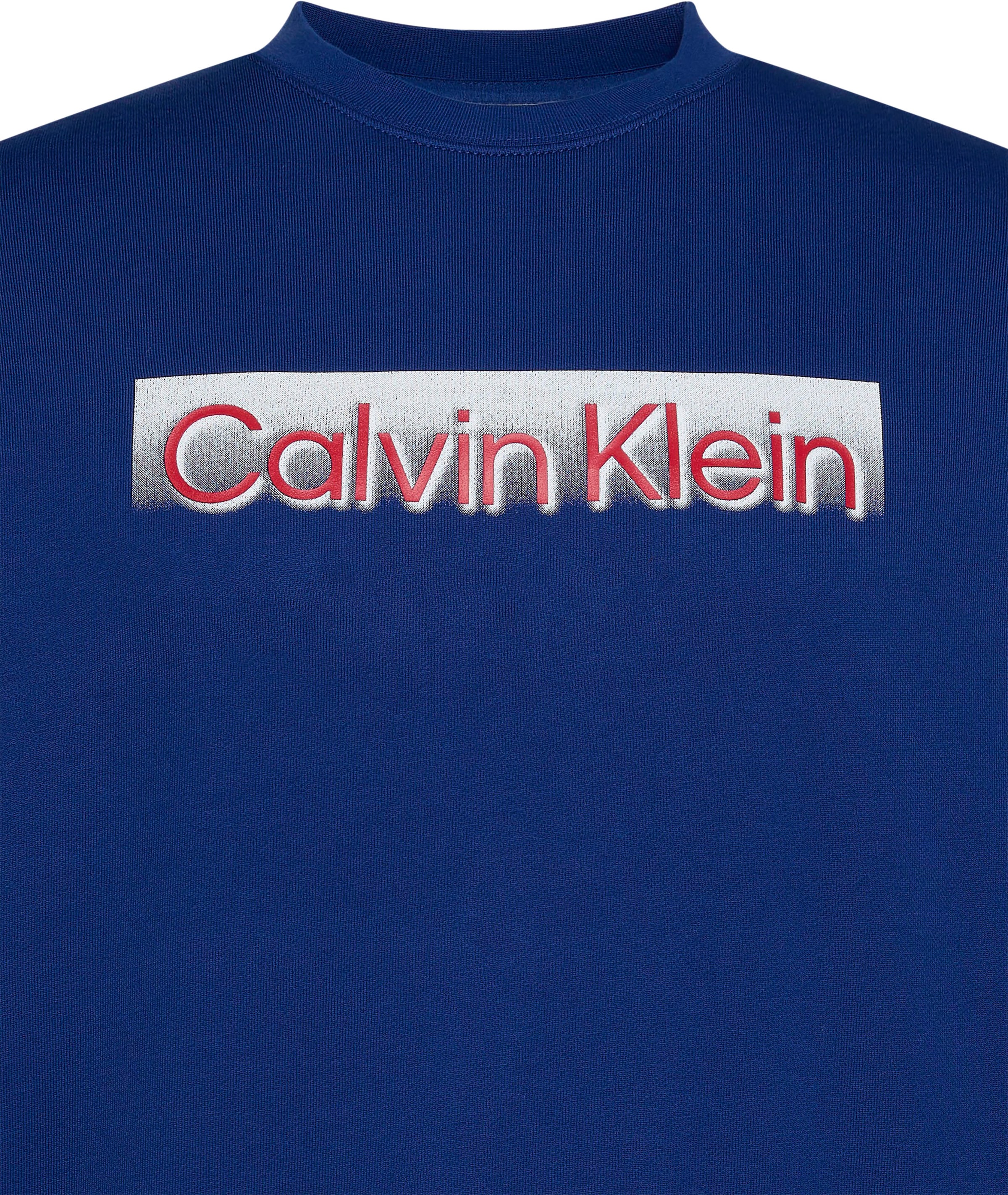 Calvin Klein Sweatshirt »EU SPORTSWEAR GRAPHIC CREWNECK«, Regular fit mit Logodruck
