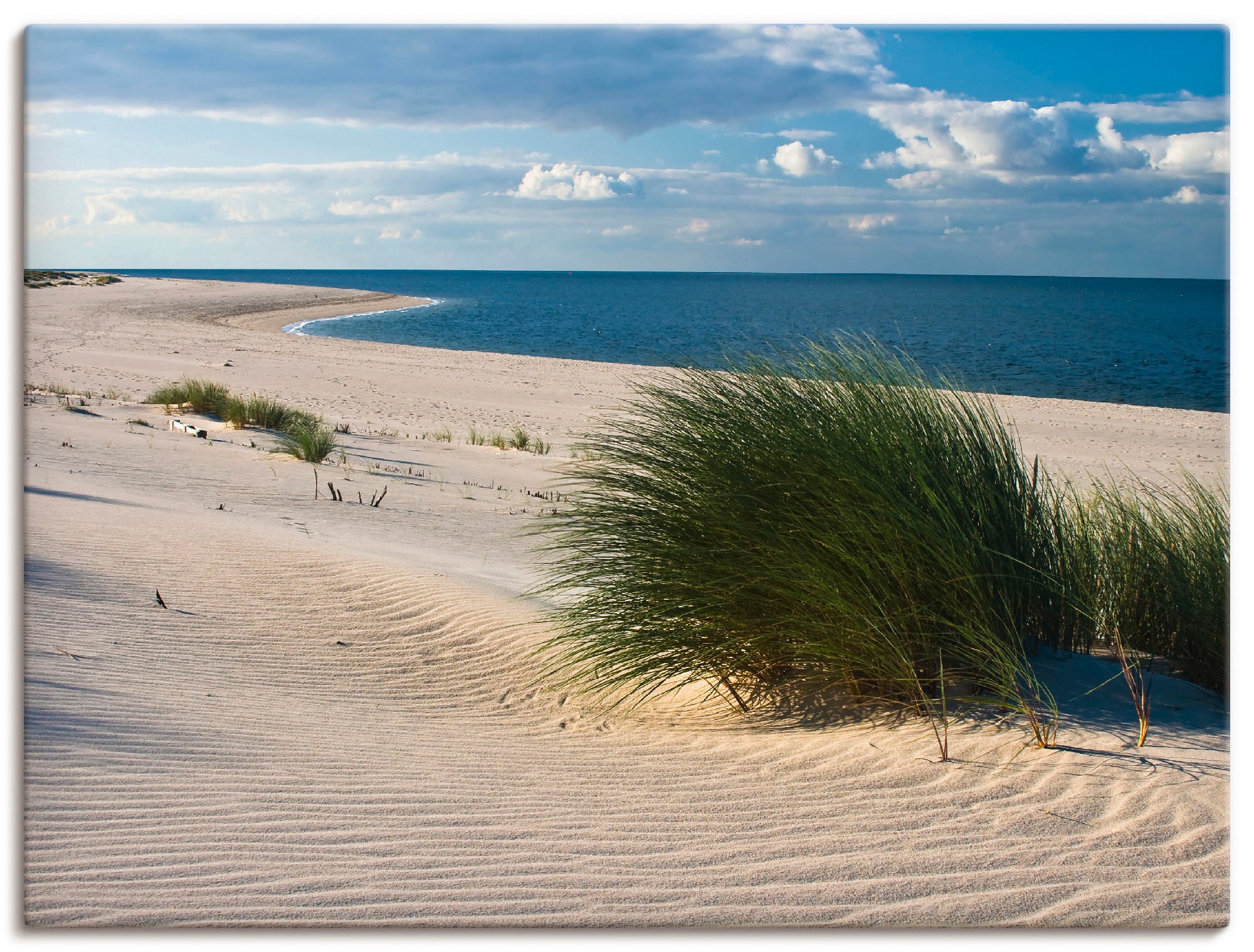 Artland Wandbild »Gras am Strand«, Strand, (1 St.), in vielen Größen & Produktarten - Alubild / Outdoorbild für den Außenbereich, Leinwandbild, Poster, Wandaufkleber / Wandtattoo auch für Badezimmer geeignet