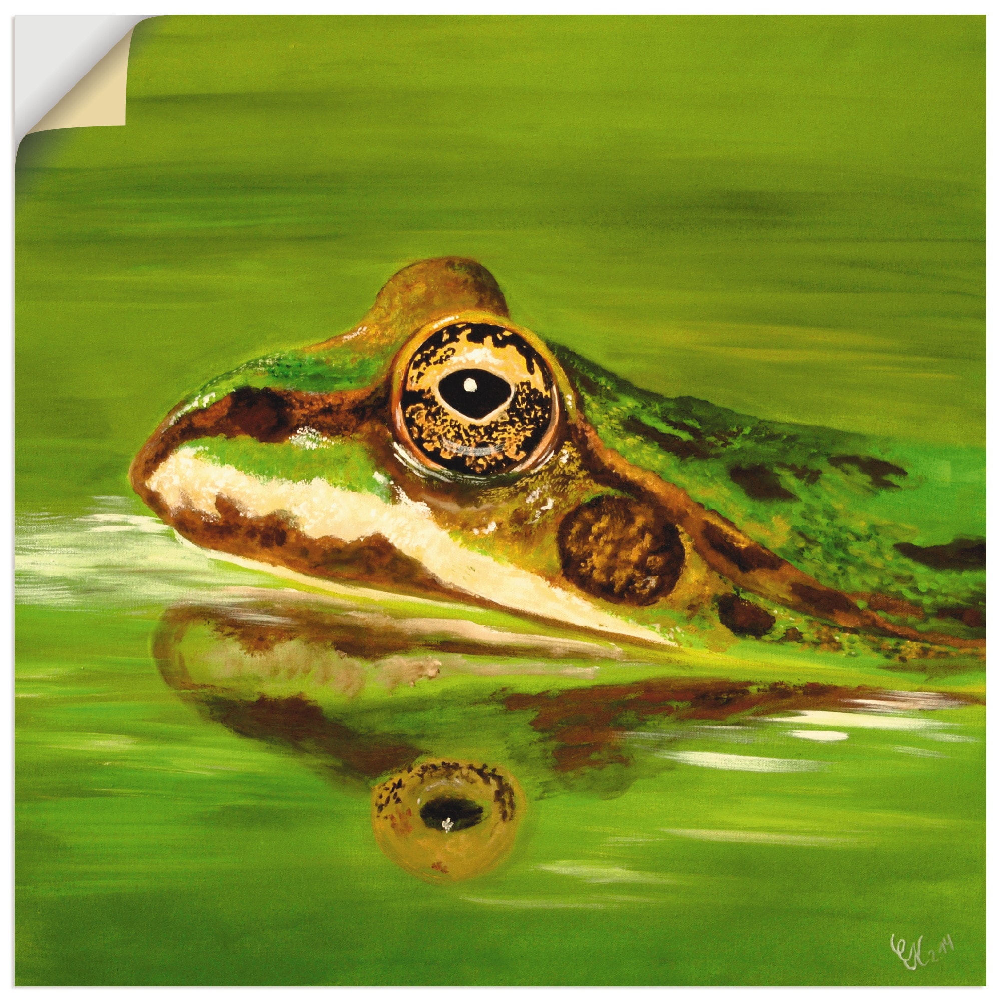 Artland Wandbild »Krötengrün«, Wildtiere, (1 St.), in vielen Größen & Produktarten - Alubild / Outdoorbild für den Außenbereich, Leinwandbild, Poster, Wandaufkleber / Wandtattoo auch für Badezimmer geeignet