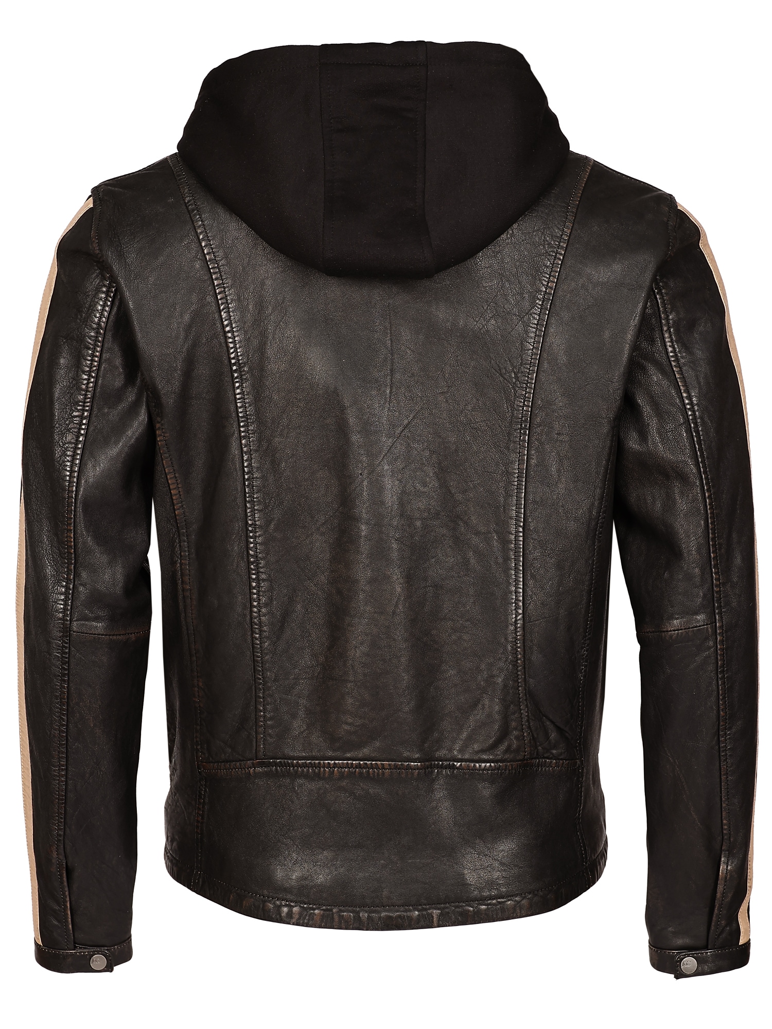 JCC Lederjacke »Lederjacke 31025207«