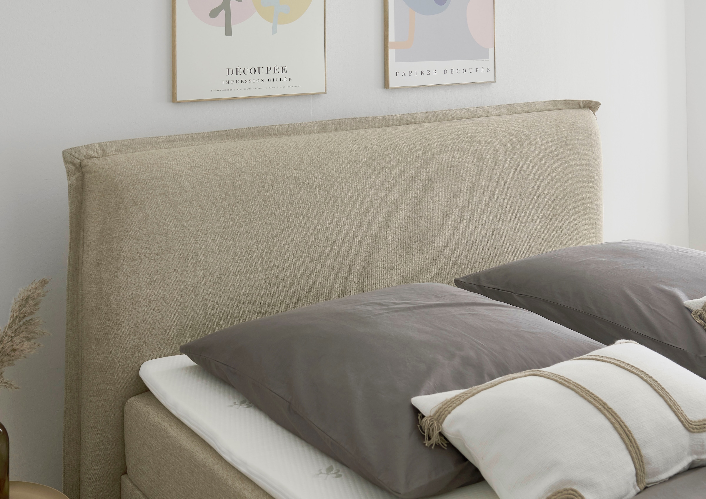 meise.möbel Boxbett »Montana mit extra großem Bettkasten«, erhältlich in der Größe 180x200cm