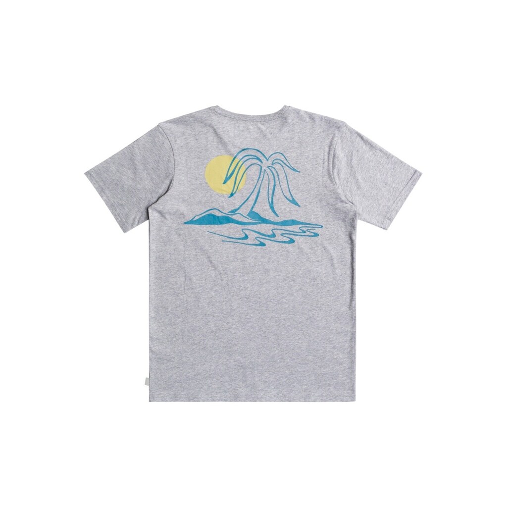 Quiksilver T-Shirt »Endless Trip«