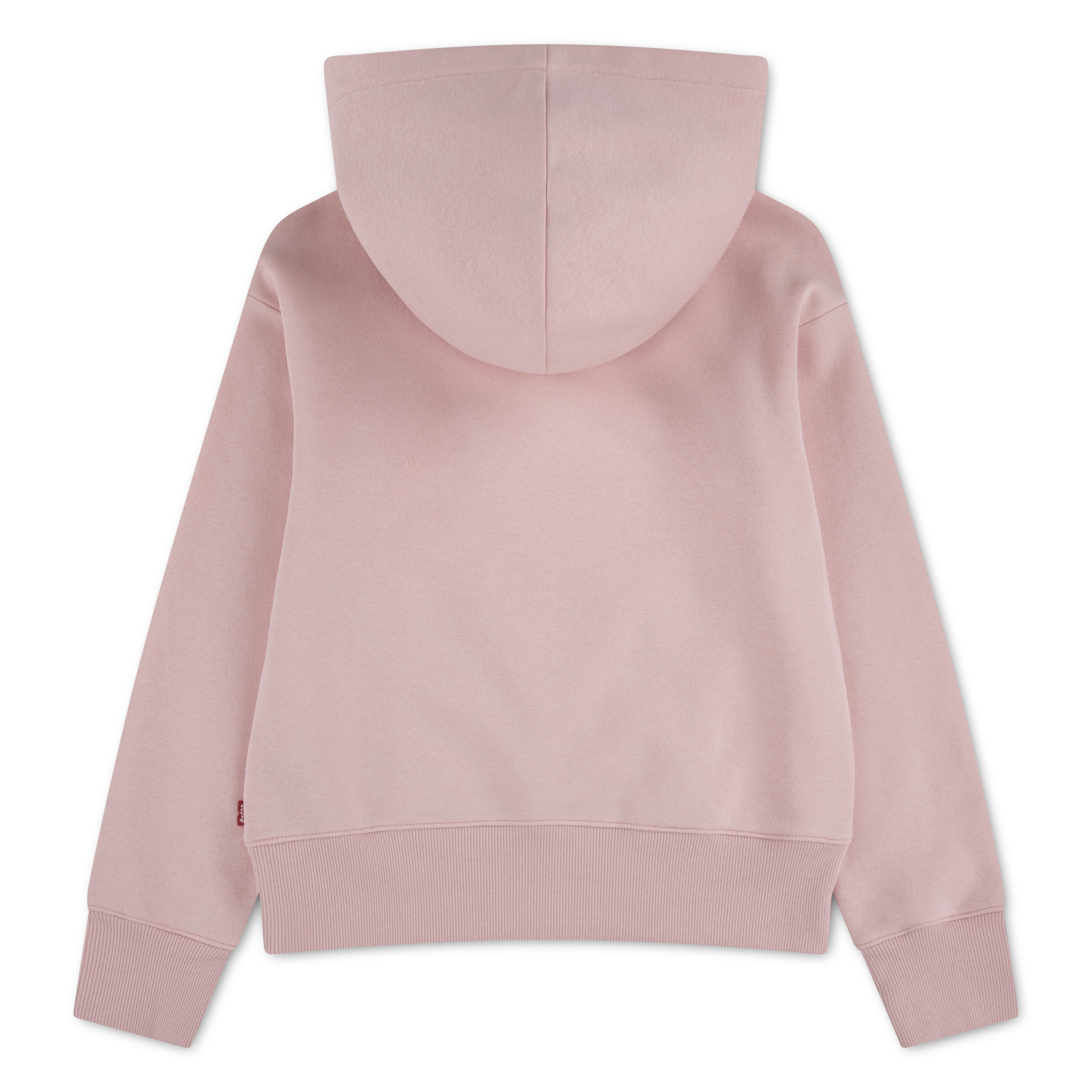 Levi's® Kids Kapuzensweatshirt »LVG BATWING PATCH HOODIE«, mit Daumenlöchern
