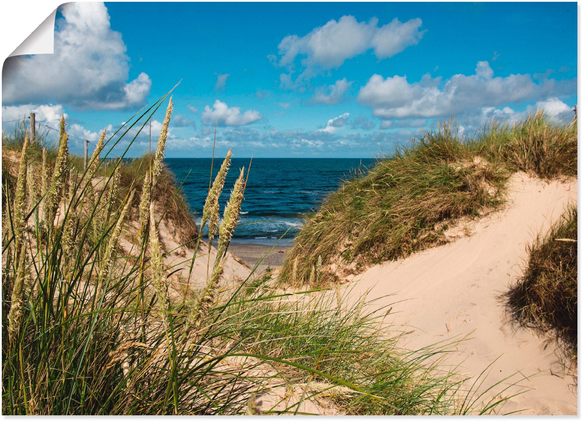 Poster »Strand bei Vesterhav«, Strand, (1 St.), als Alubild, Leinwandbild,...