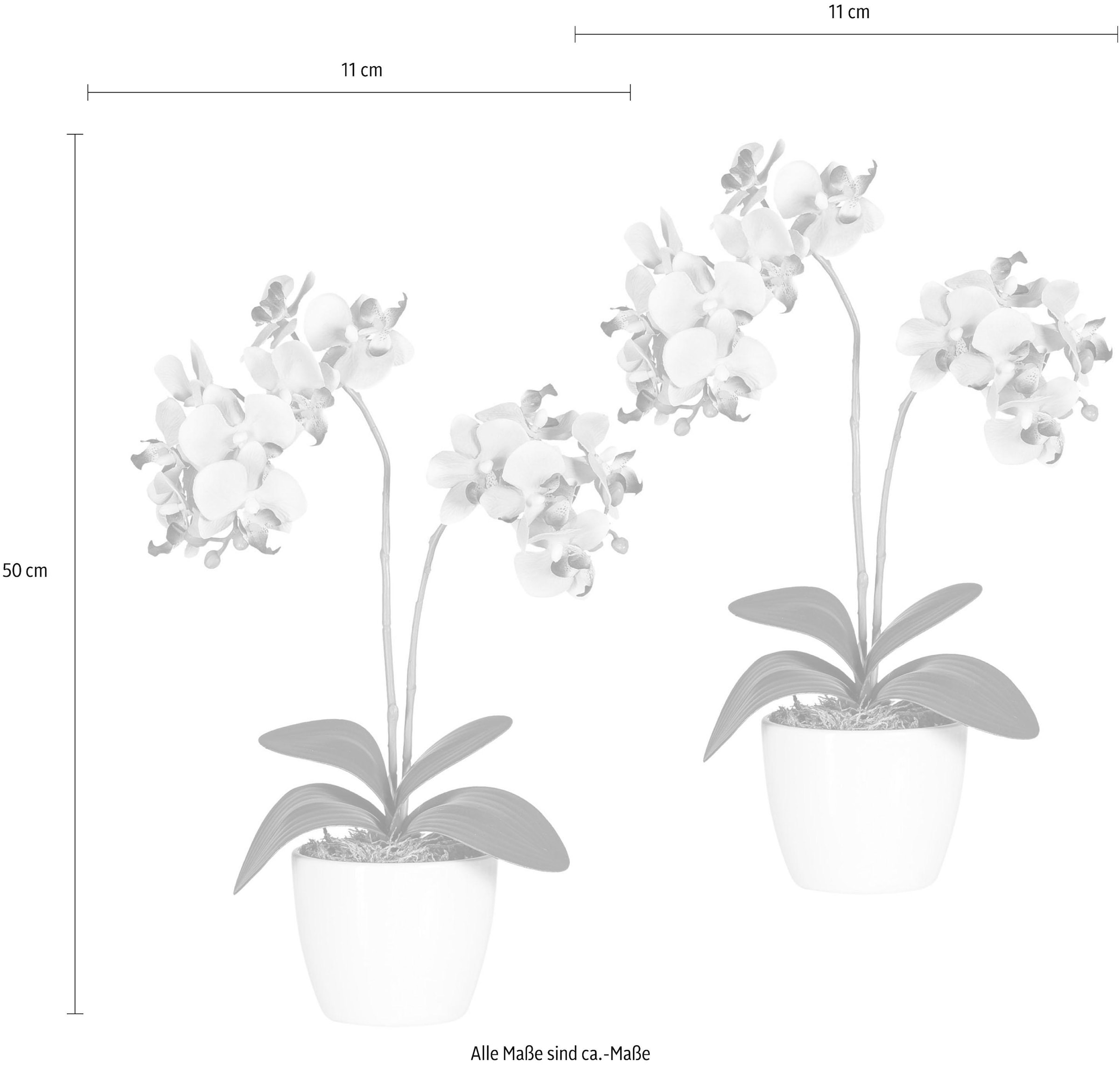 Creativ green Kunstpflanze »Phalaenopsis«