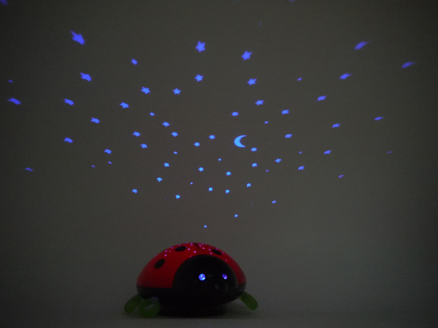 niermann LED Nachtlicht »Beetlestar«, 1 flammig-flammig, Nachtlicht  Beetlestar online bei OTTO