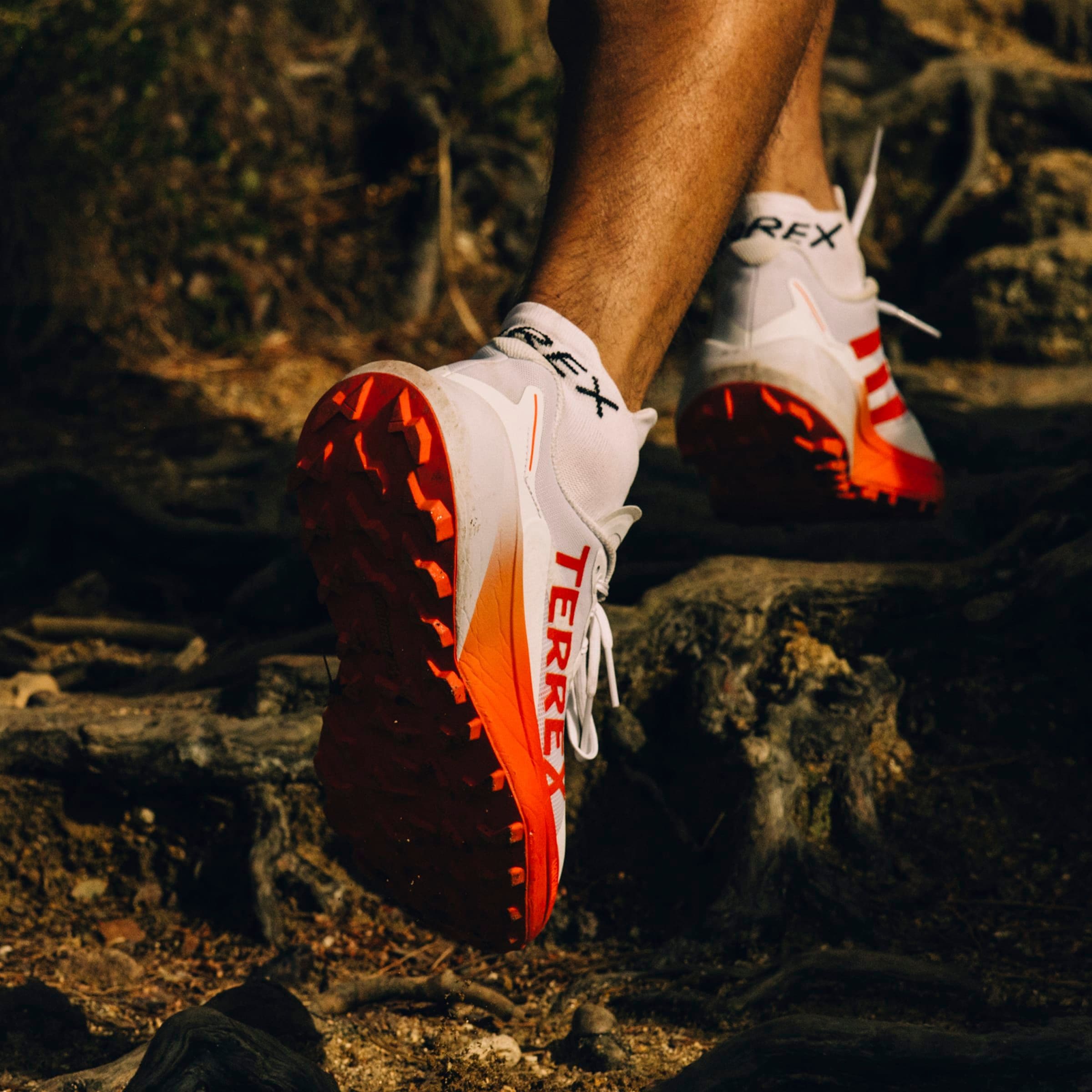 adidas TERREX Trailrunningschuh »TERREX AGRAVIC 3 TRAILRUNNING«, Trail-Runningschuhe