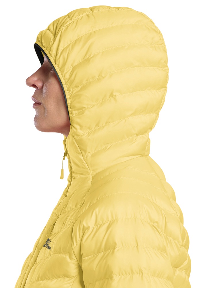 Jack Wolfskin Funktionsjacke »ROUTEBURN PRO INS JKT W«, mit Kapuze
