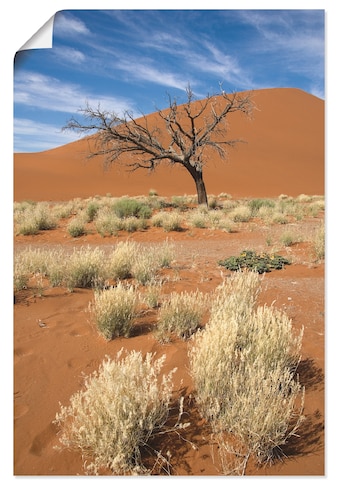 Artland Wandbild »Namib-Wüste 2«, Afrika, (1 St.), in vielen Größen & Produktarten -... kaufen