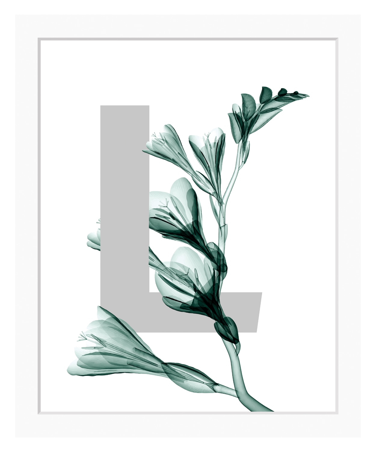 queence Bild »L-Flower« Buchstaben | Pflanzen | Pflanzenbilder