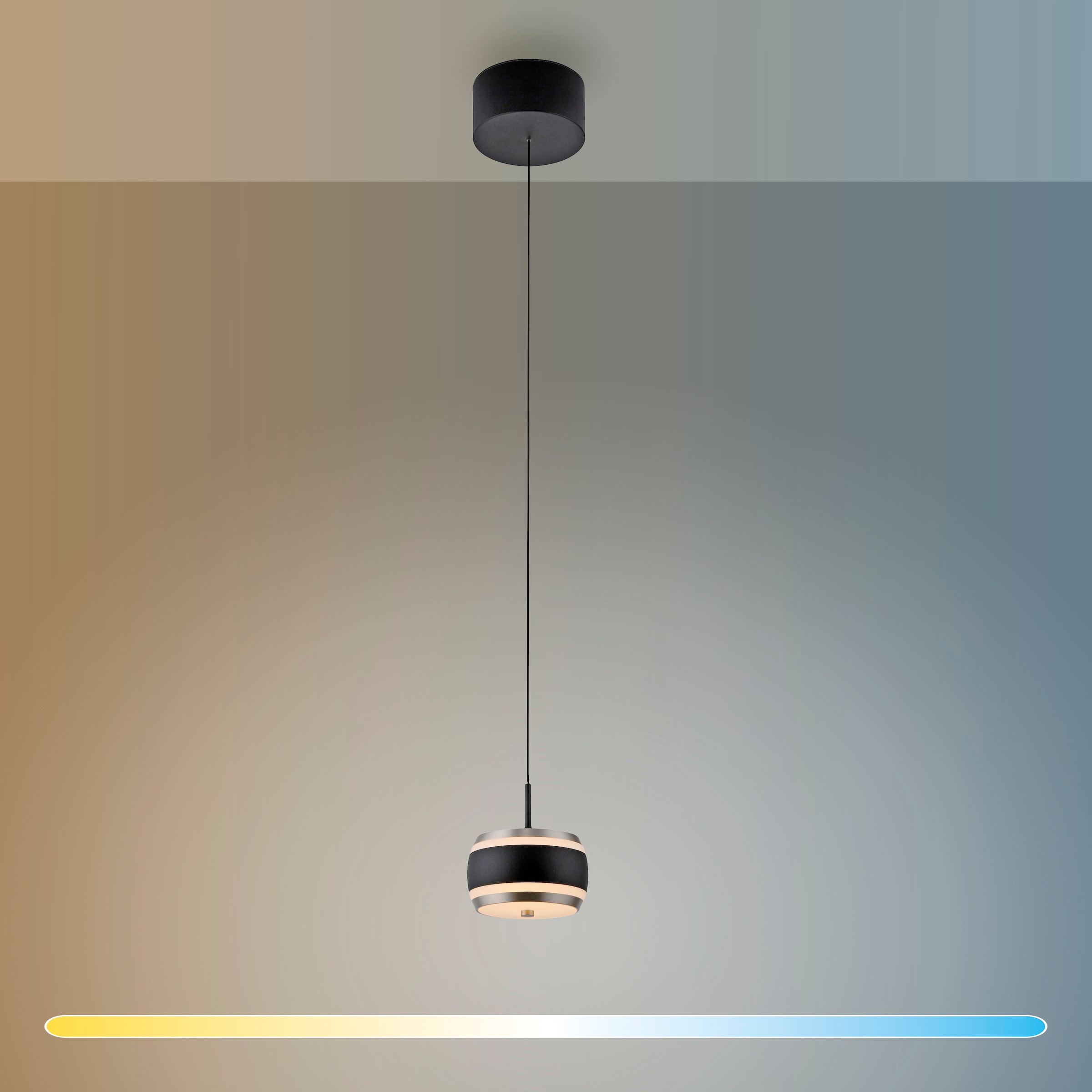 Neuhaus PURE LED Pendelleuchte »PURE Falling Rings« LED-Board 1 Stk. warmweiß - kaltweiß Comfort Lift, CCT, dimmbar, Fernbedienung, Timer
