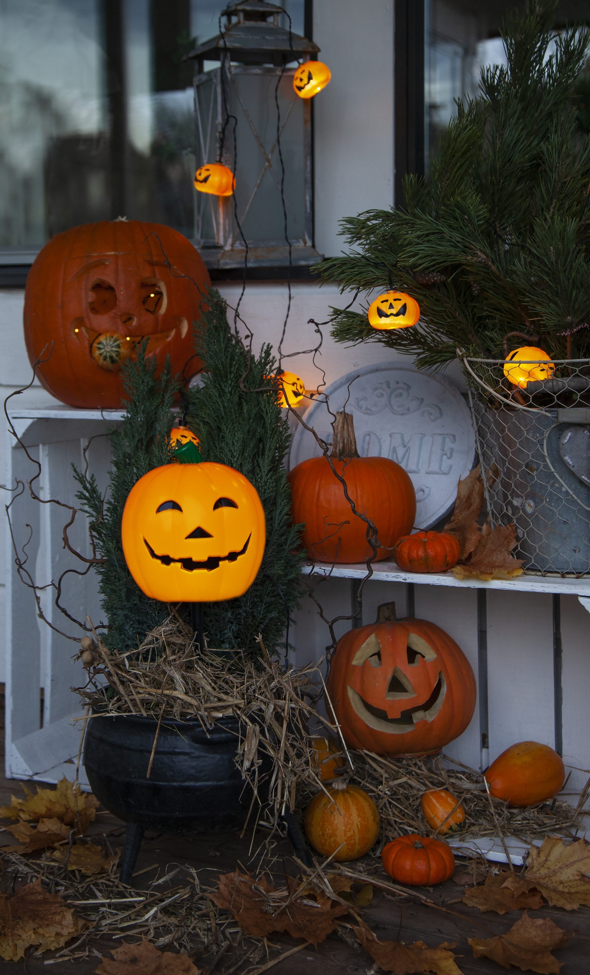 Parforce Traditional Hunting LED-Lichterkette »Halloween« 8 Stk.-flammig kaltweiße LEDs, outdoor, Batterie, Timer,
ca. 210 cm Länge