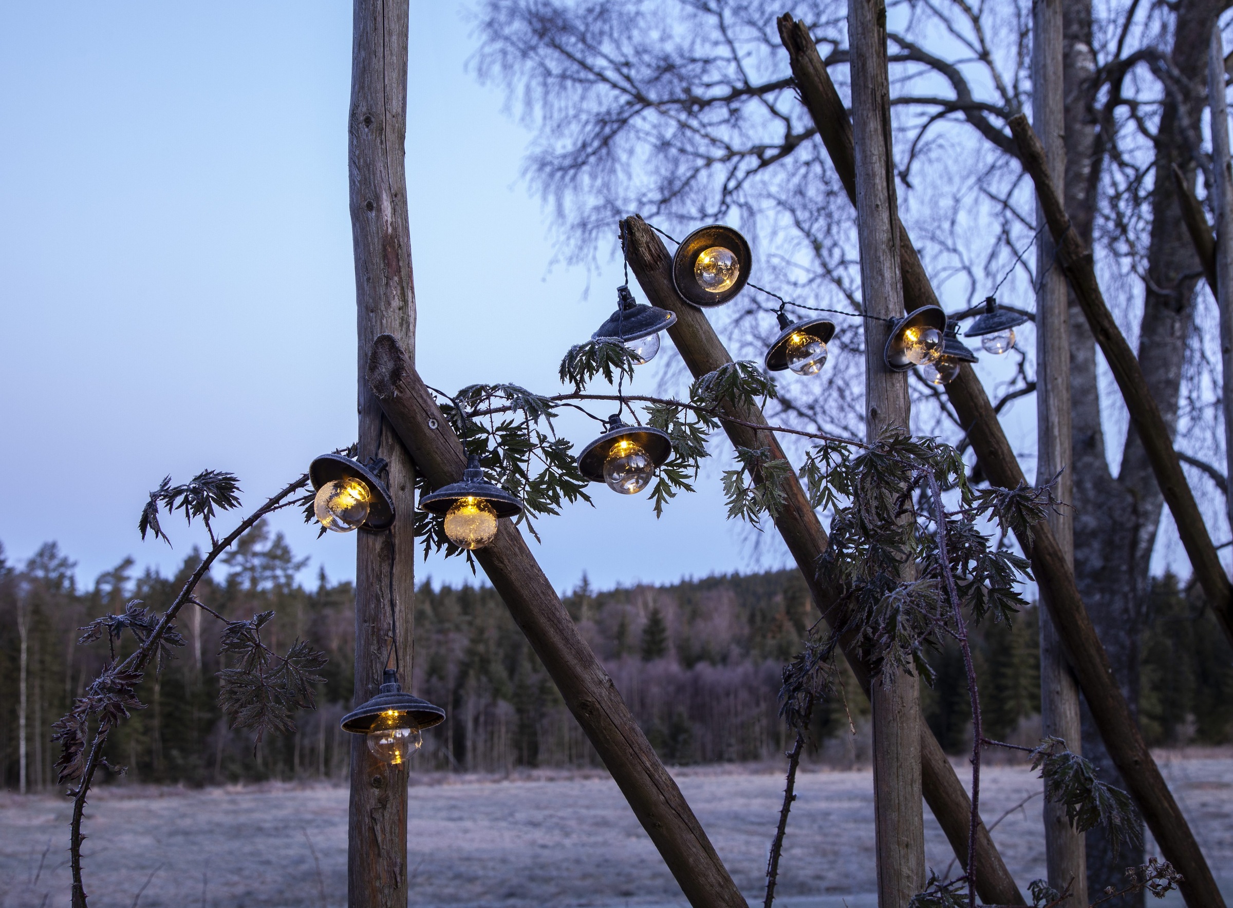 Parforce Traditional Hunting LED-Lichterkette »Globe Shade« 10 Stk.-flammig ca. 1,8 m + ca. 2 m Zuleitung, Akku, outdoor, Vierfarb-Karton