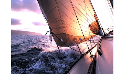 Papermoon Fototapete »Sailing to Sunset« kaufen