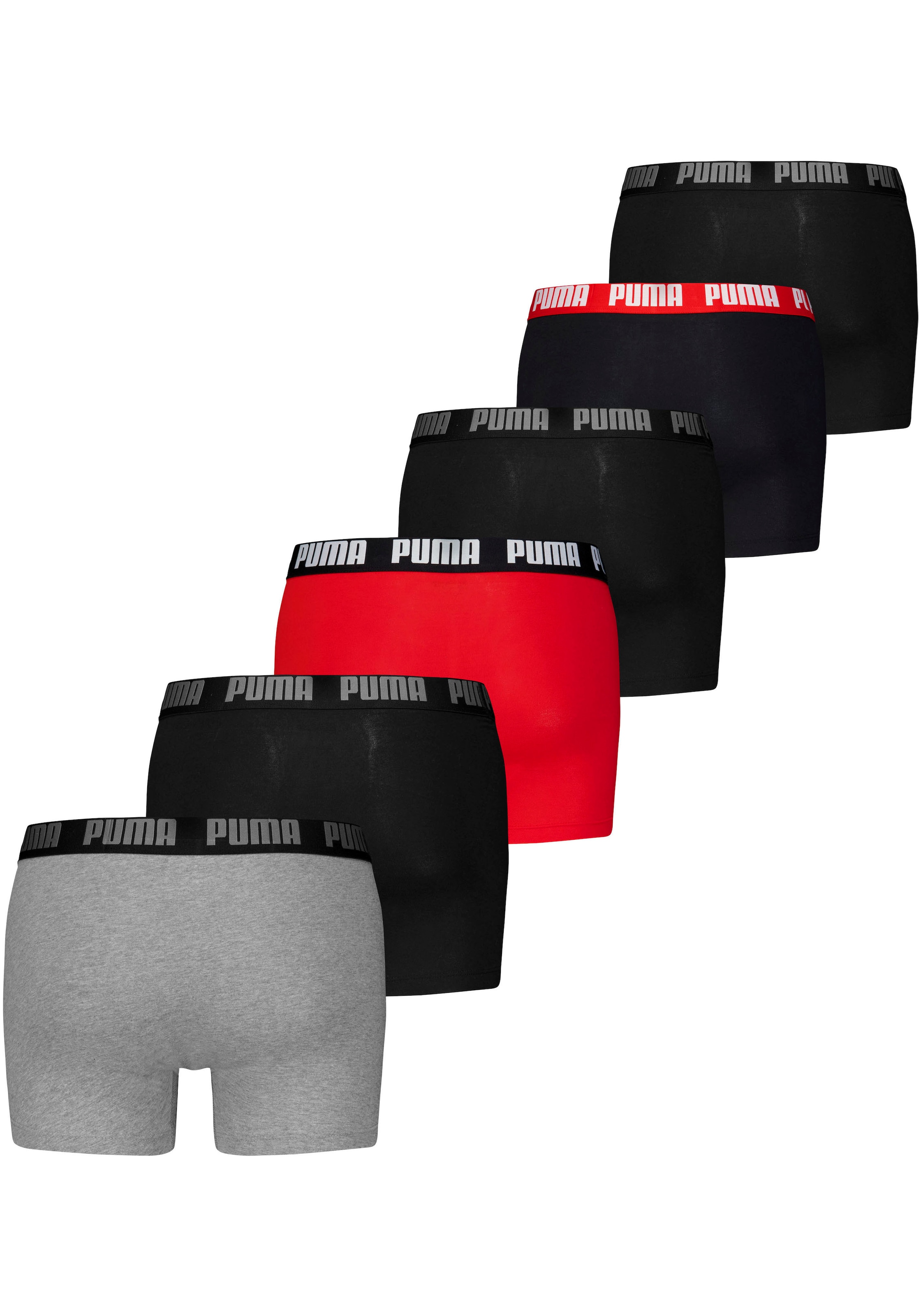 Boxer, (6er Pack), mit elastischem Logobund