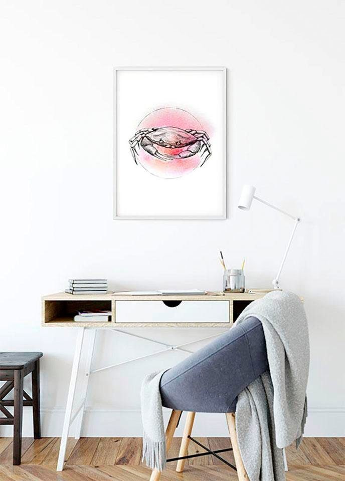 Komar Bild »Crab Watercolor«, Tiere, (1 St.), Wandbild zur Dekoration - ohne Rahmen