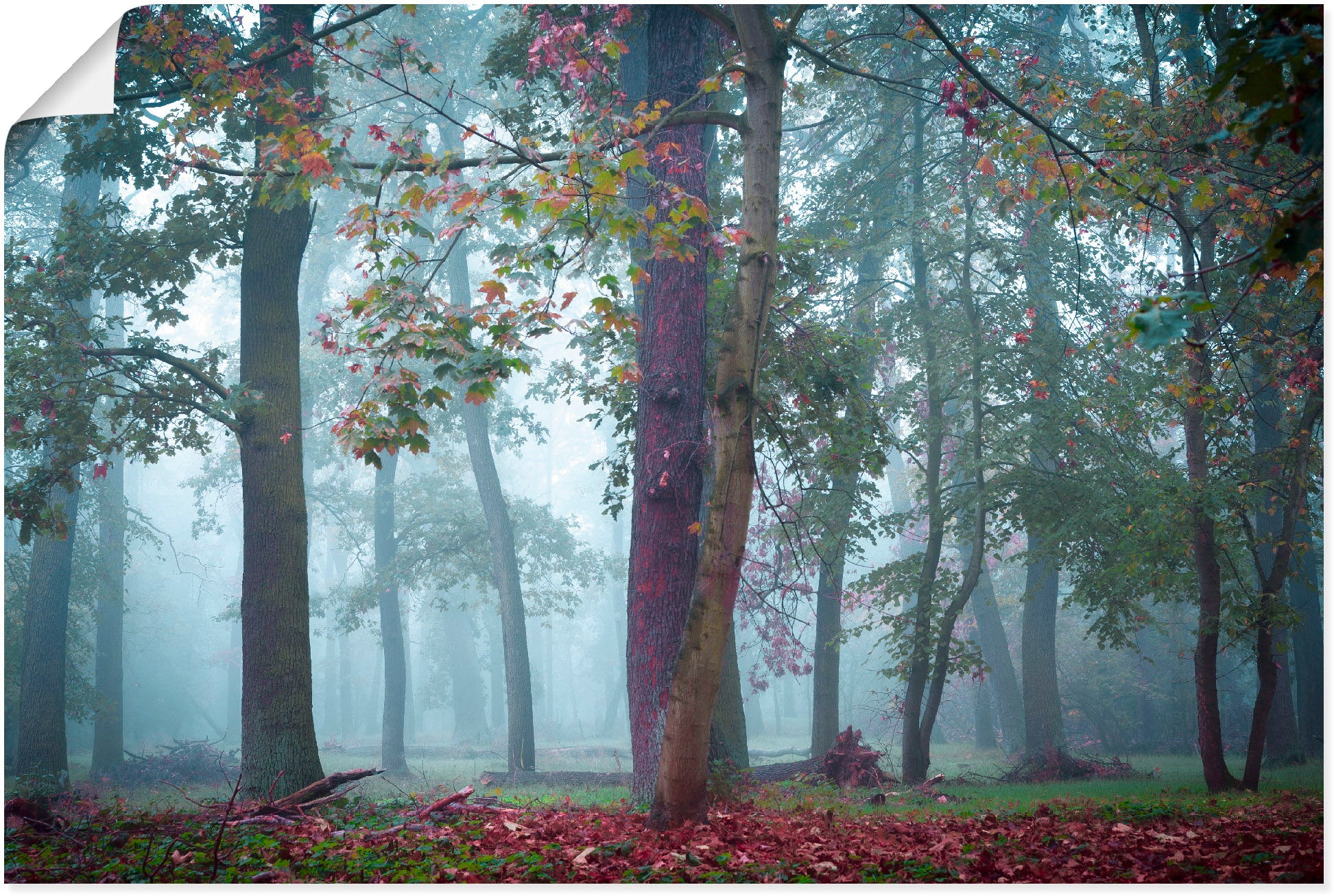 Artland Wandbild »Nebel im St.), Poster (1 bei OTTO Wandaufkleber oder Größen Leinwandbild, Wald«, versch. Waldbilder, kaufen Alubild, in als