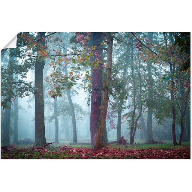 Artland Wandbild »Nebel im Wald«, Waldbilder, (1 St.), als Alubild,  Leinwandbild, Wandaufkleber oder Poster in versch. Größen kaufen bei OTTO