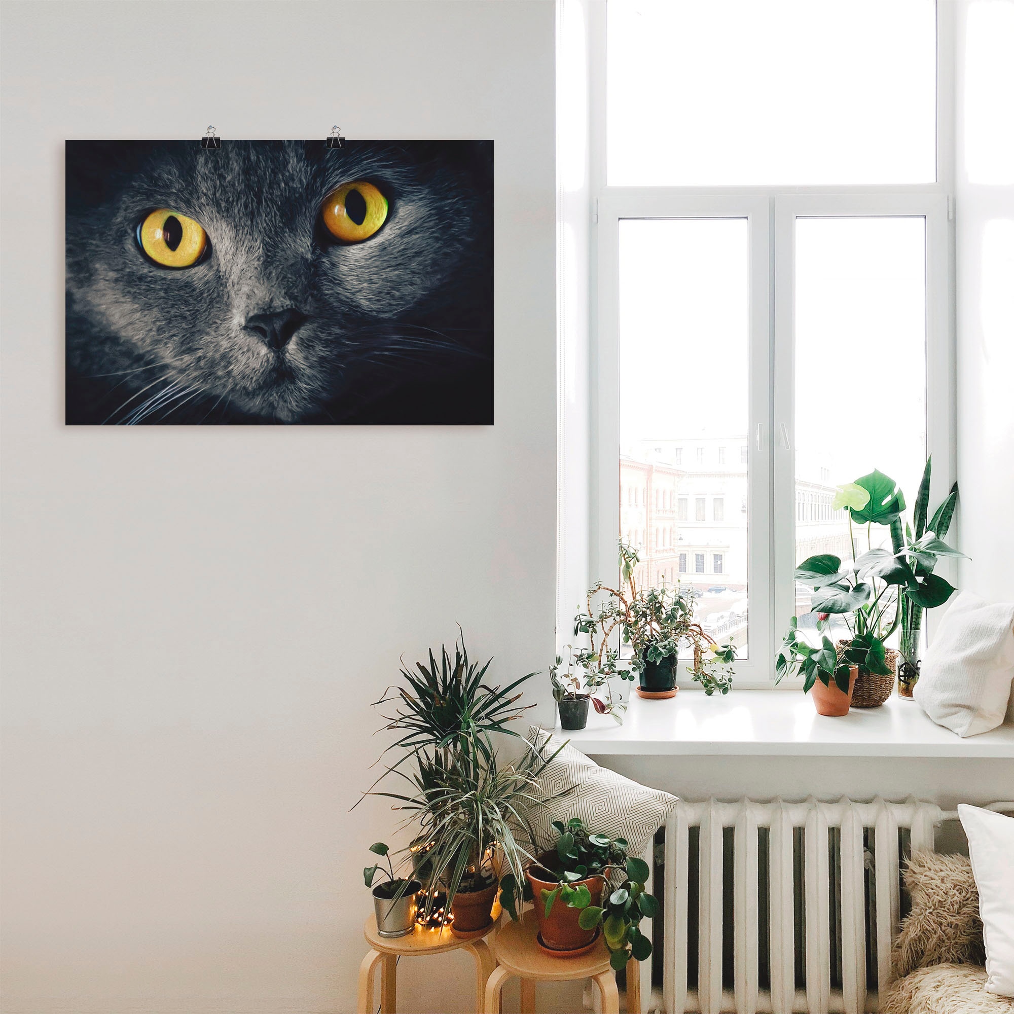 Artland Wandbild »Katzenaugen«, Haustiere, (1 St.), als Alubild, Outdoorbild, Leinwandbild, Poster in verschied. Größen