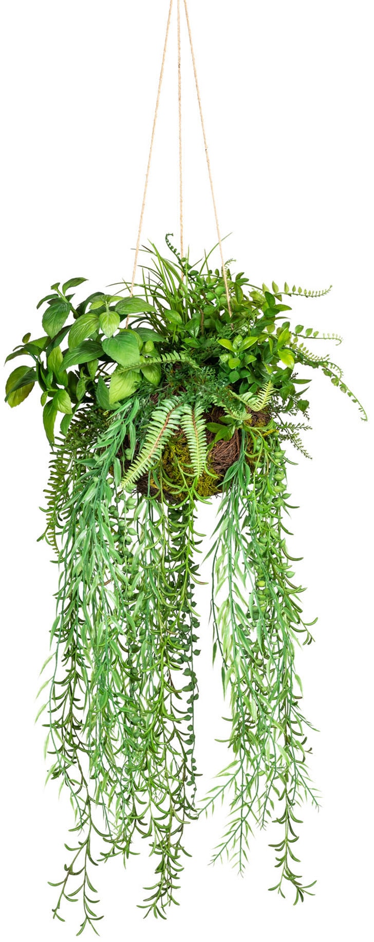 bei »Dekokugel Künstliche OTTO zum kaufen Hängen«, St.) (1 green Creativ Zimmerpflanze
