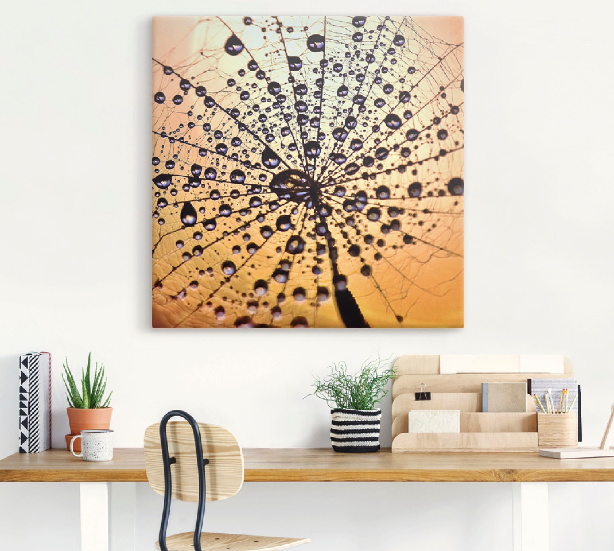 Artland Wandbild »Pusteblume Tröpfchenfang«, Blumen, (1 St.), als Leinwandbild, Wandaufkleber in verschied. Größen
