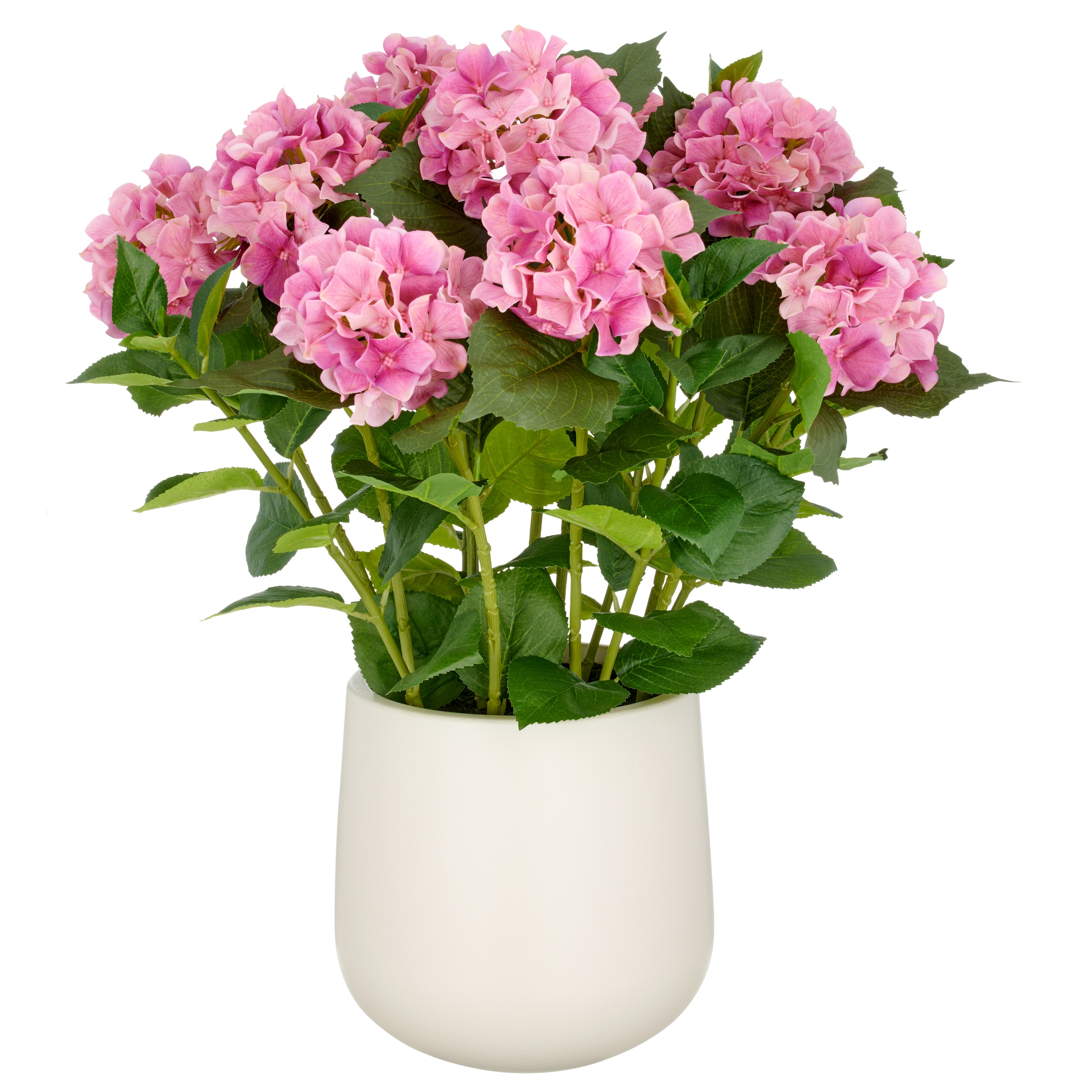 Creativ green Kunstpflanze »Hortensie« im eleganten Topf