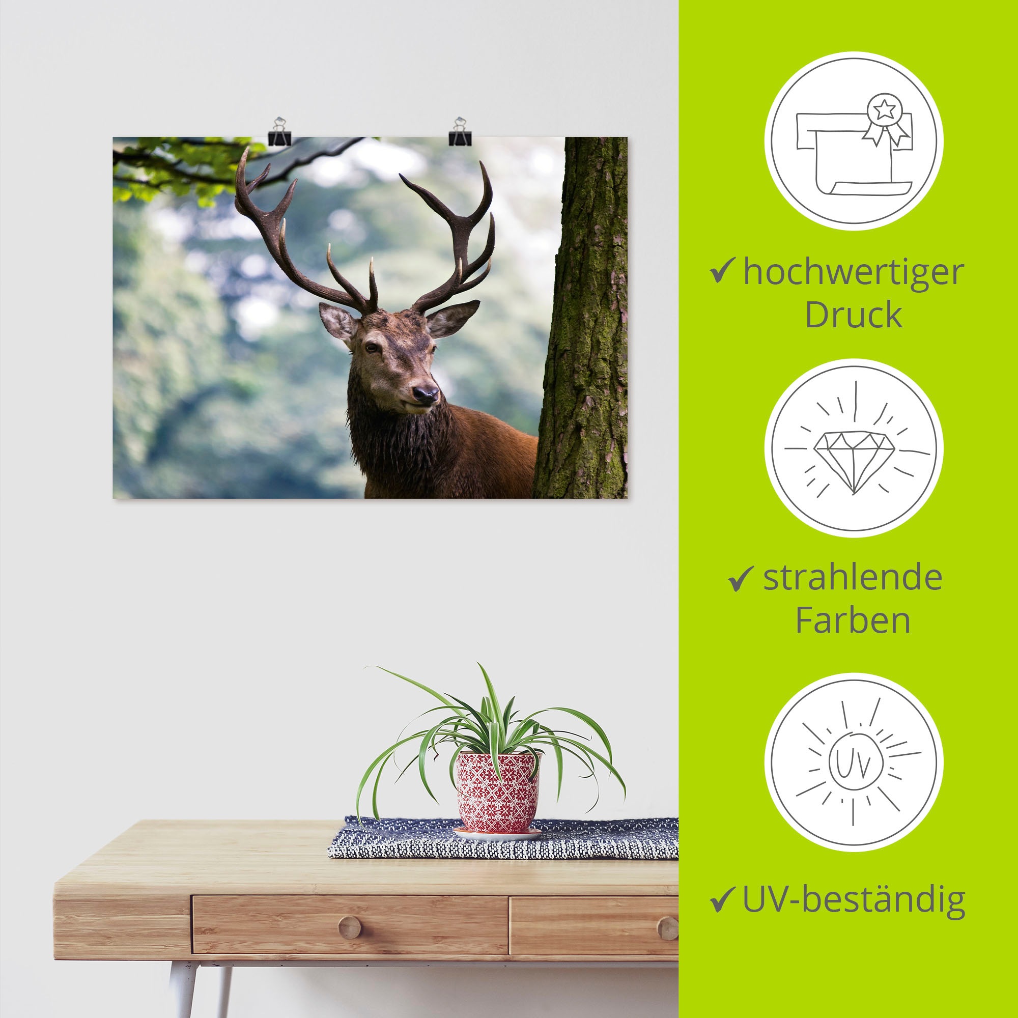 Artland Wandbild »Hirsch«, Wildtiere, (1 St.), als Alubild, Outdoorbild, Leinwandbild, Poster in verschied. Größen