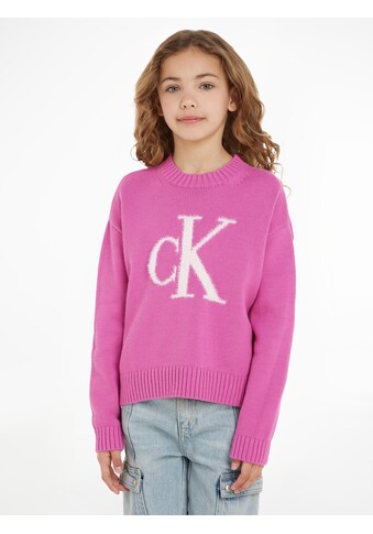 Rundhalspullover »FLUFFY MONOGRAM SWEATER«