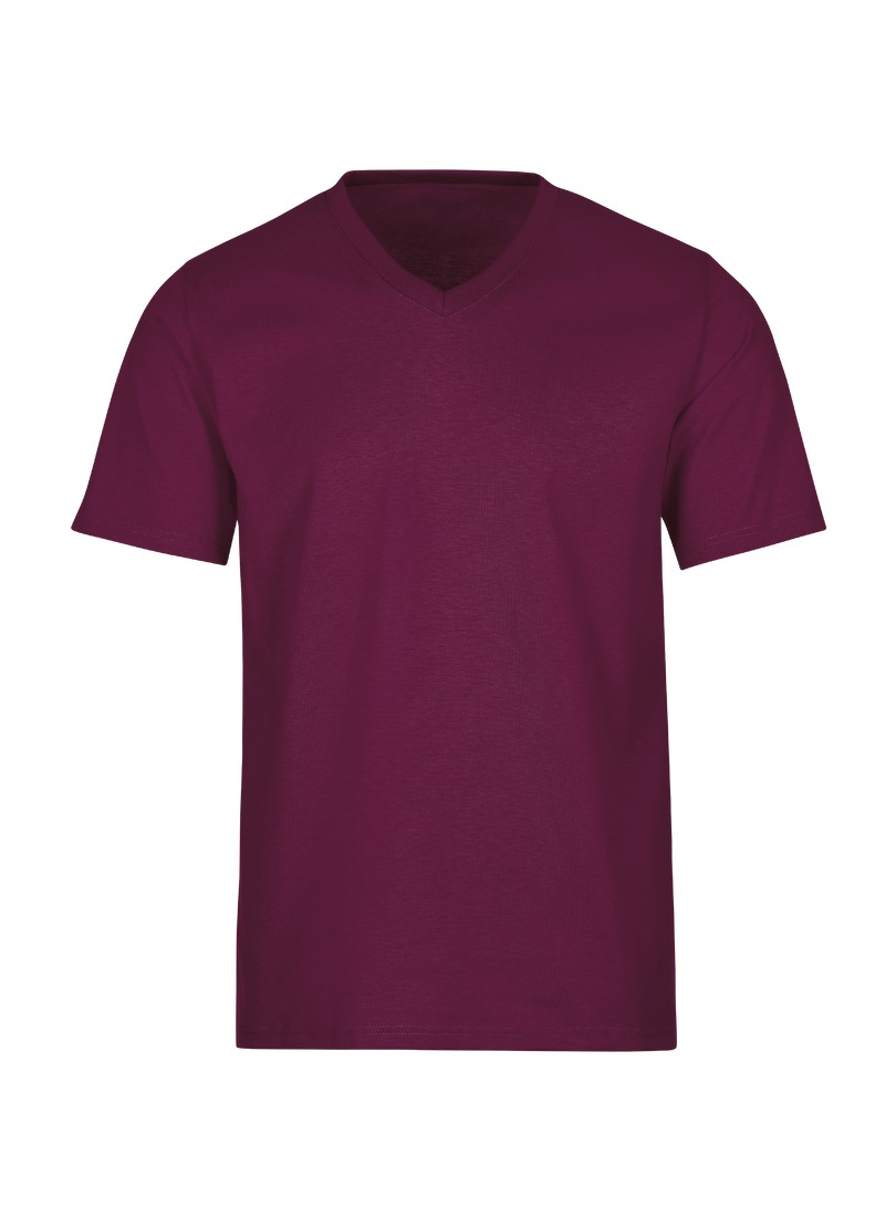 Trigema T-Shirt »TRIGEMA V-Shirt DELUXE Baumwolle«, (1 tlg.)