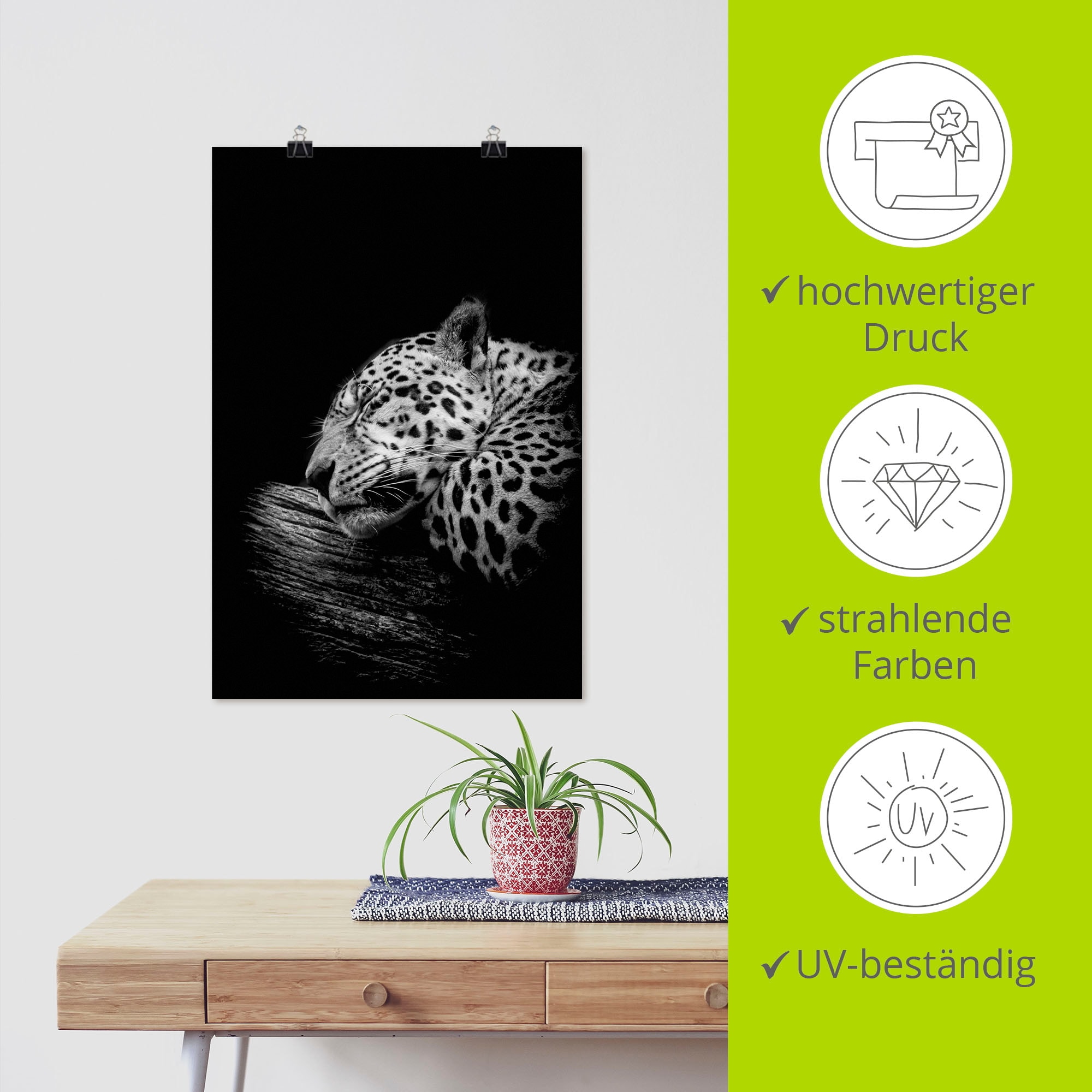 Artland Wandbild »Der schlafende Jaguar«, Wildtiere, (1 St.), als Alubild, Outdoorbild, Leinwandbild, Poster in verschied. Größen