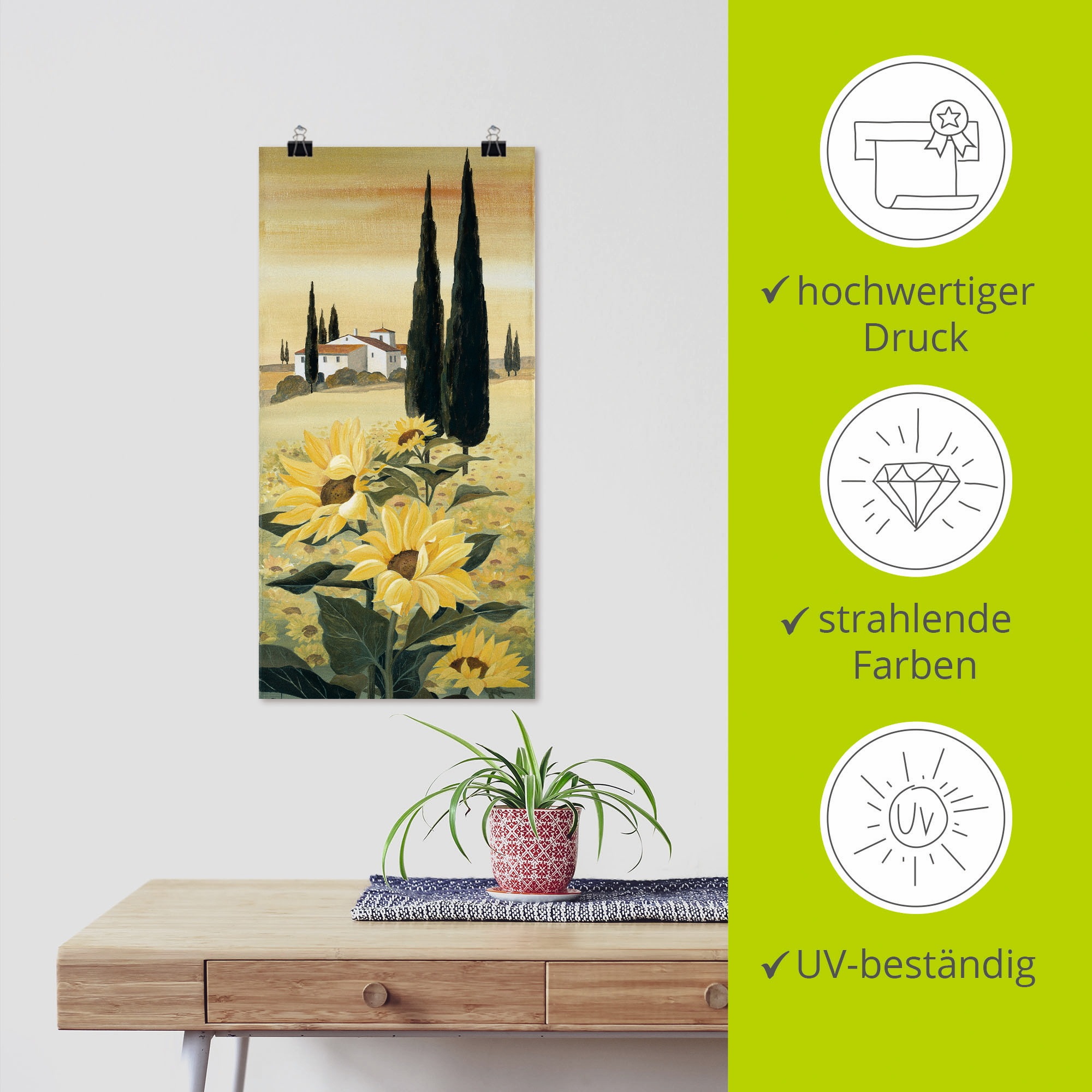 Artland Wandbild »Südliche Weite«, Blumen, (1 St.), als Leinwandbild, Poster, Wandaufkleber in verschied. Größen